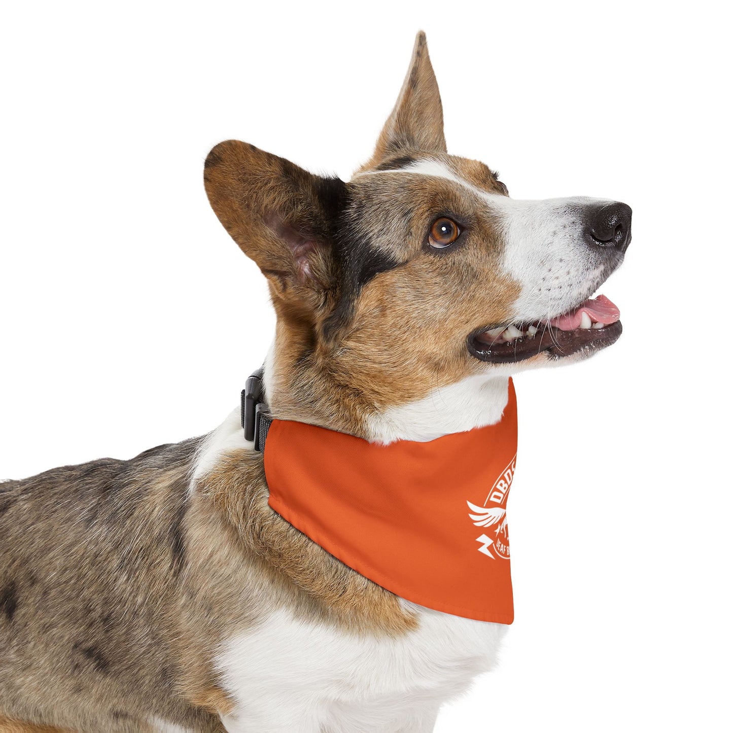Orange Pet Bandana Collar - for the DeafBlind dog in your life!
