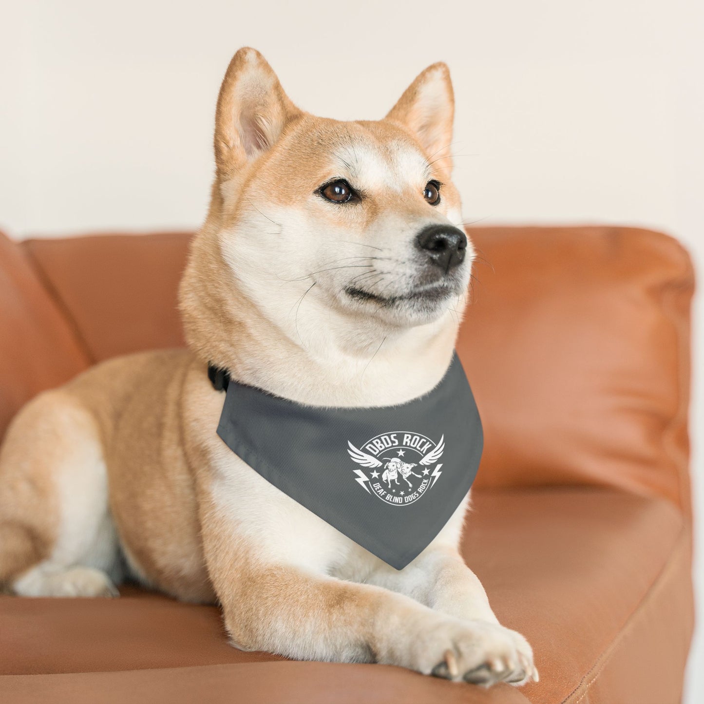 Gray DBDR Pet Bandana Collar - for the DeafBlind dog in your life!