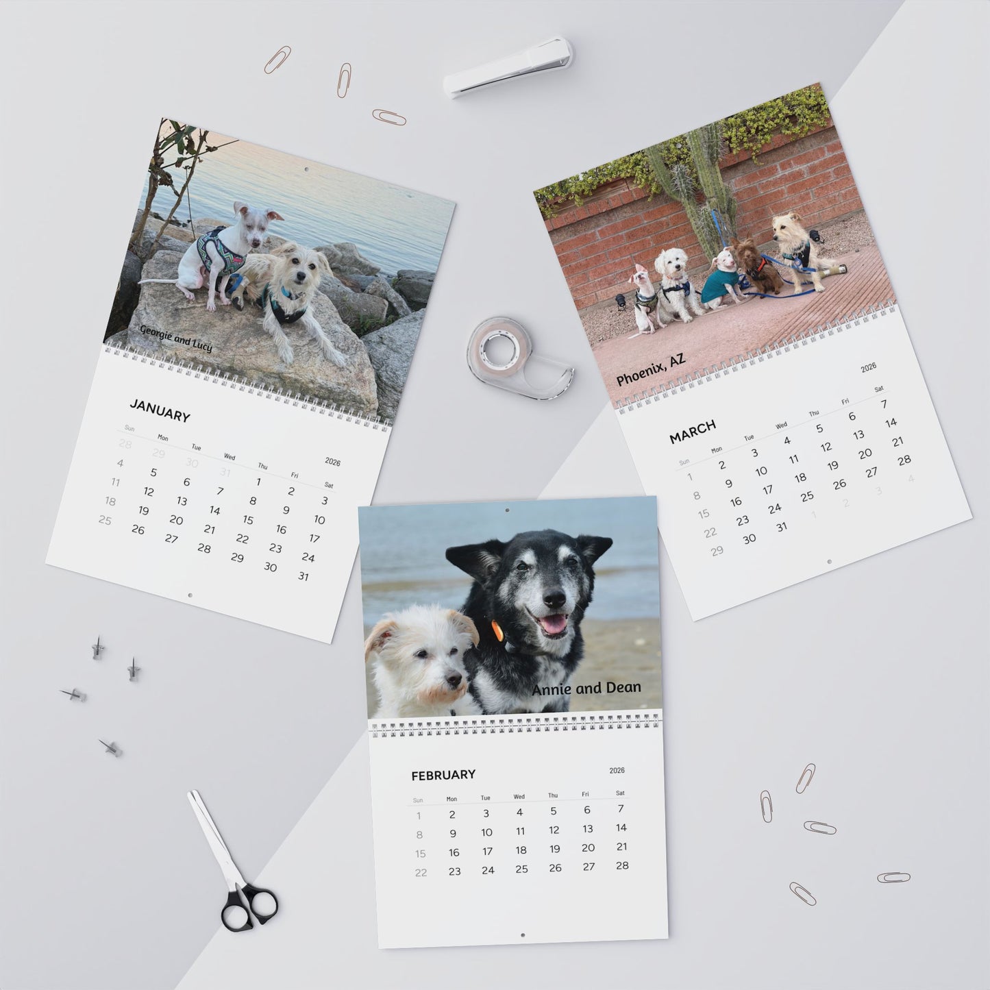 Piglet and Friends, Official 2026 Calendar of Piglet, the deaf blind pink puppy