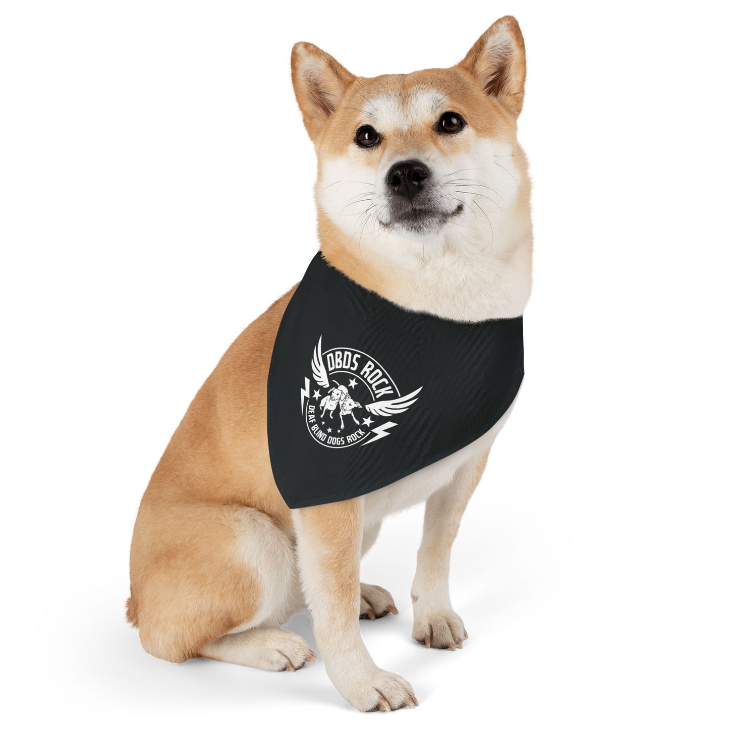 Black DBDR Pet Bandana Collar - for the DeafBlind dog in your life!