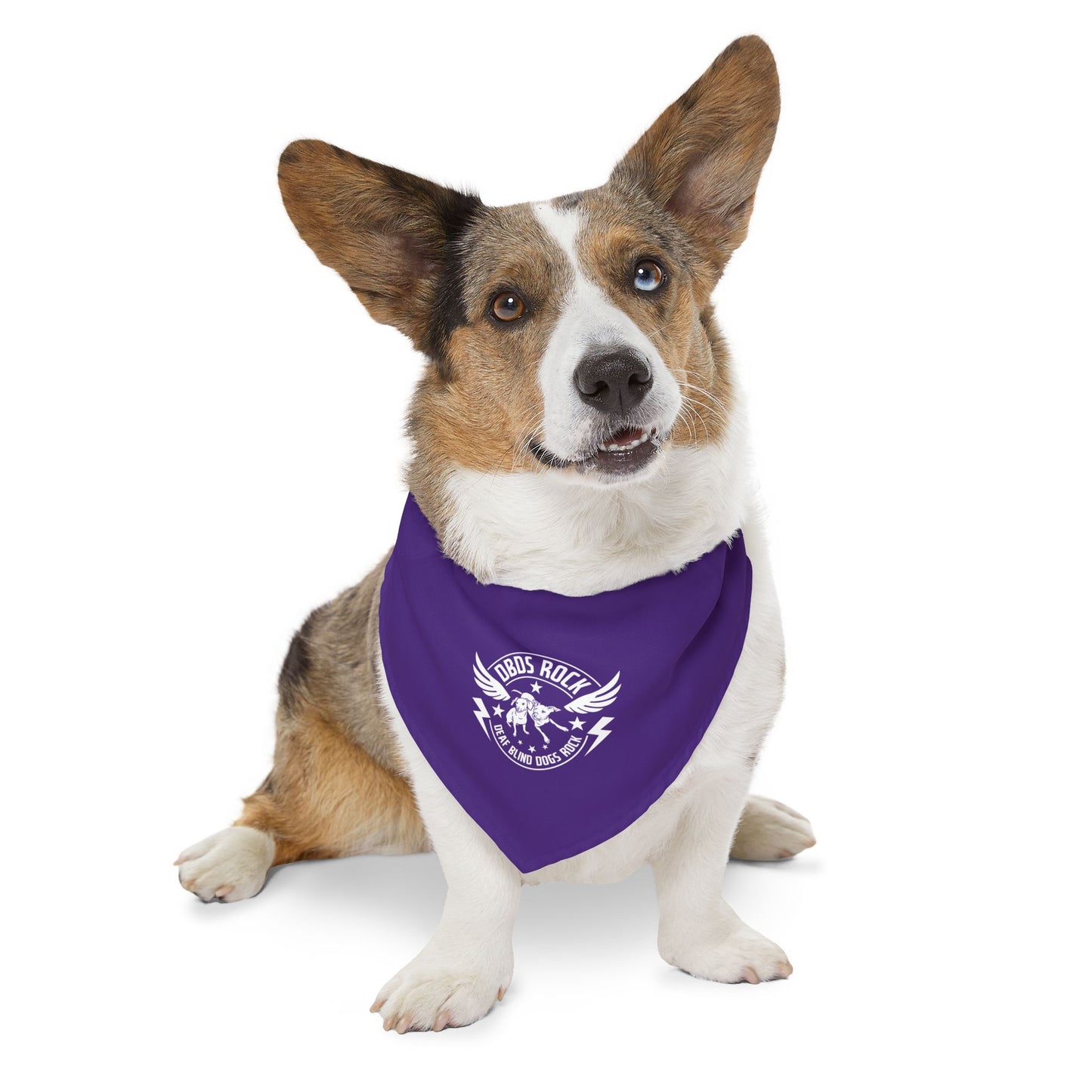 Purple DBDR (Deaf Blind Dogs Rock) Bandana Collar - Stylish Dog Accessory for Celebrations, Holidays & Everyday Wear
