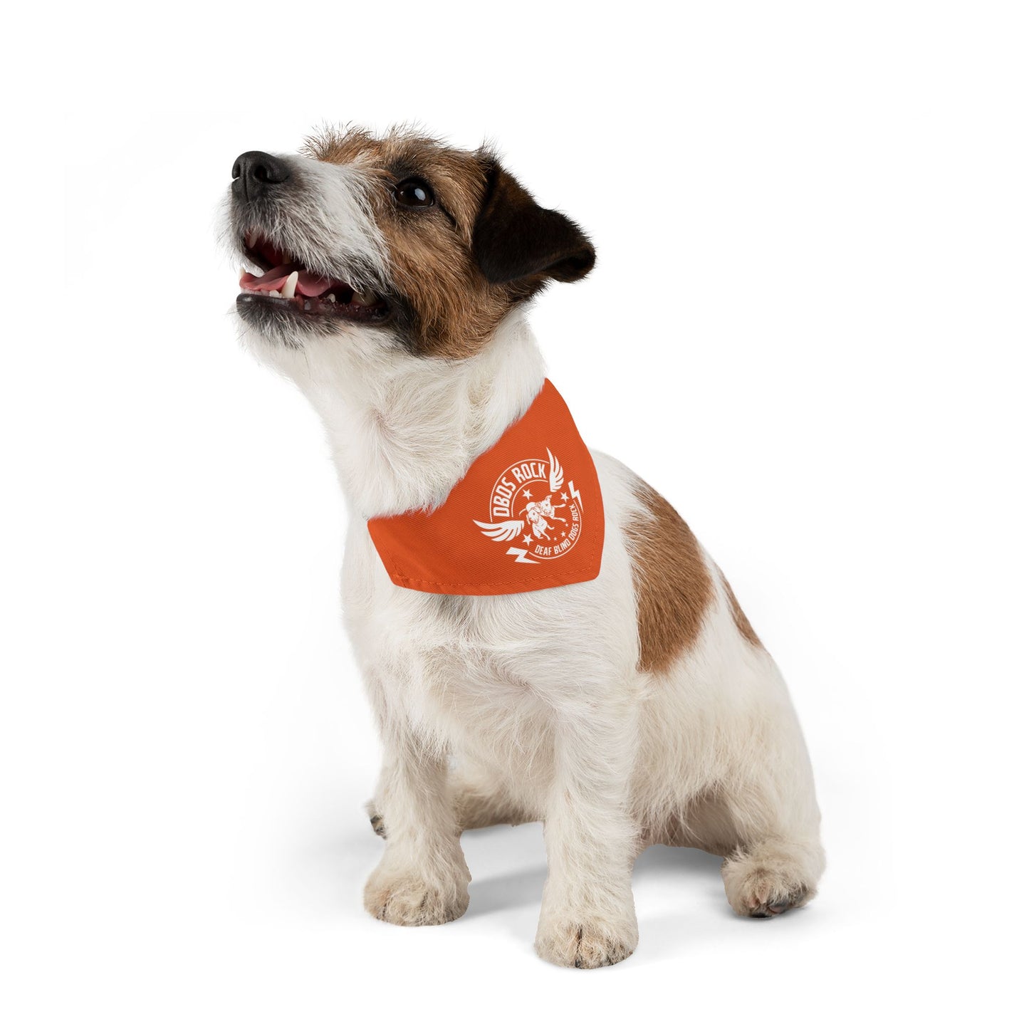 Orange Pet Bandana Collar - for the DeafBlind dog in your life!