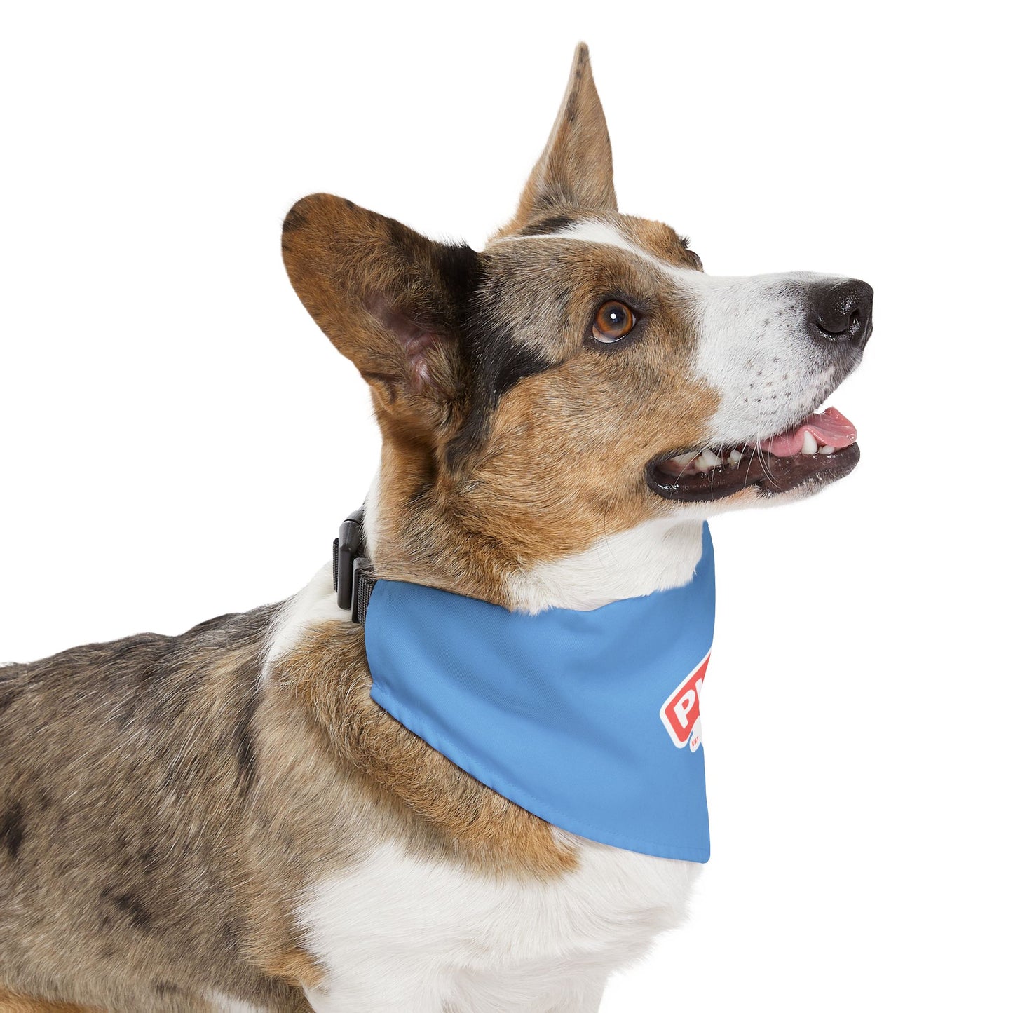Cute Pet Bandana Collar - Stylish Dog Accessory for Celebrations, Holidays & Everyday Wear