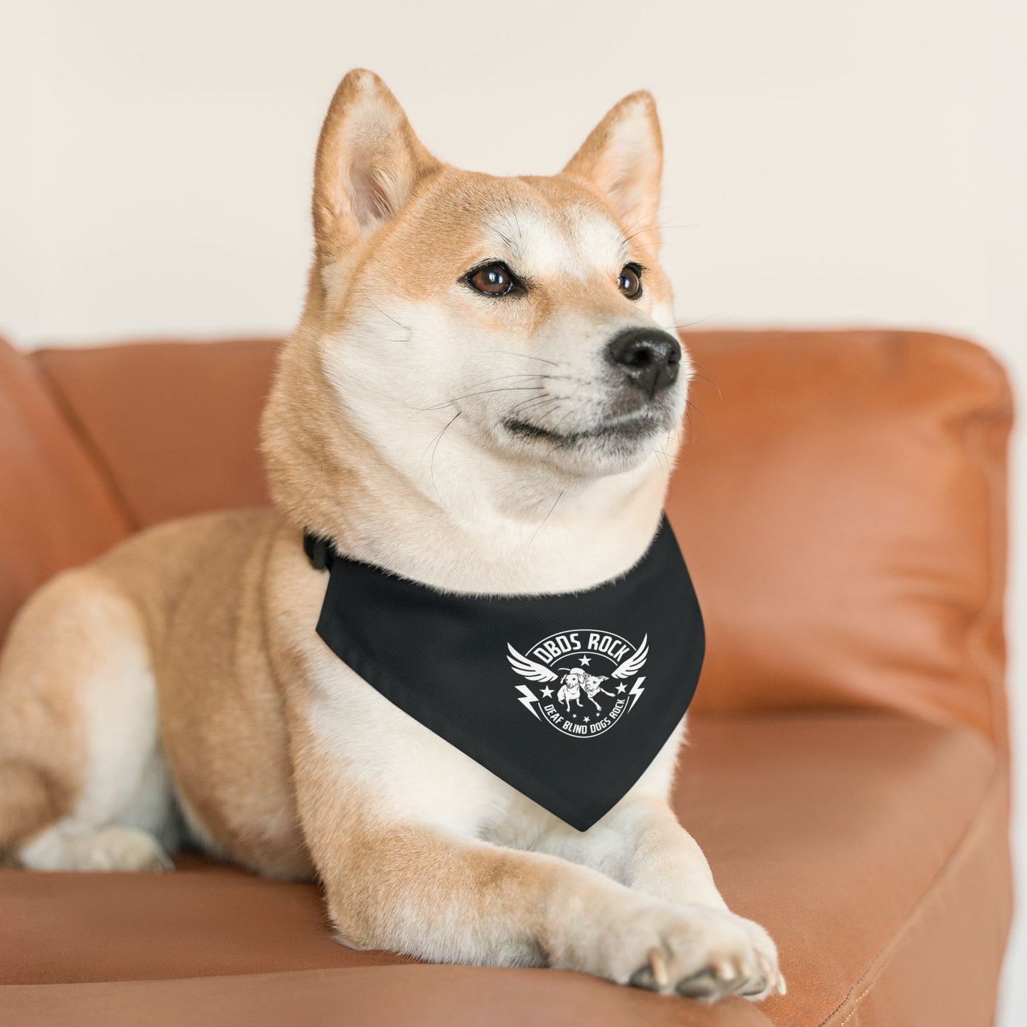 Black DBDR Pet Bandana Collar - for the DeafBlind dog in your life!