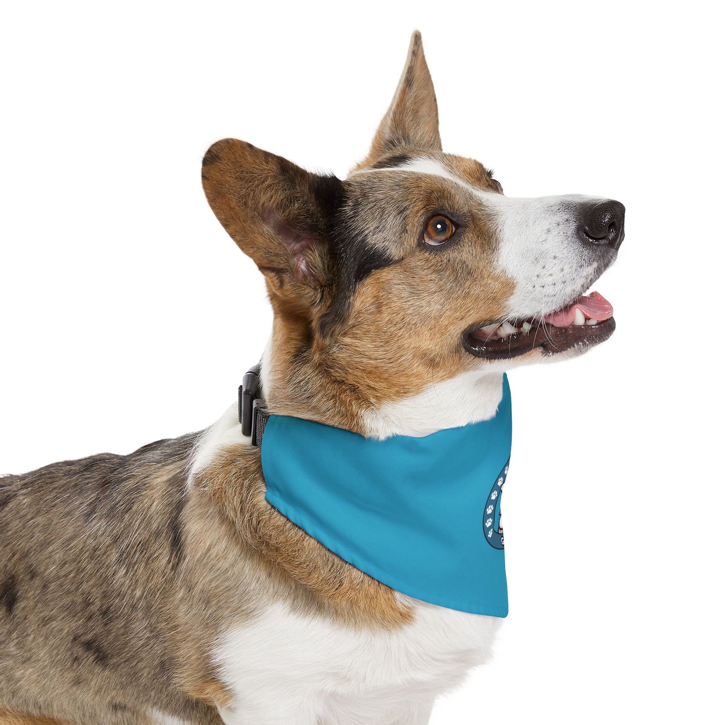 Georgie Pet Bandana Collar - Stylish Dog Accessory for Celebrations, Holidays & Everyday Wear