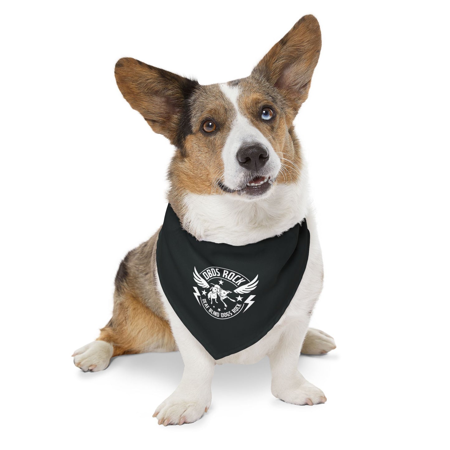 Black DBDR Pet Bandana Collar - for the DeafBlind dog in your life!