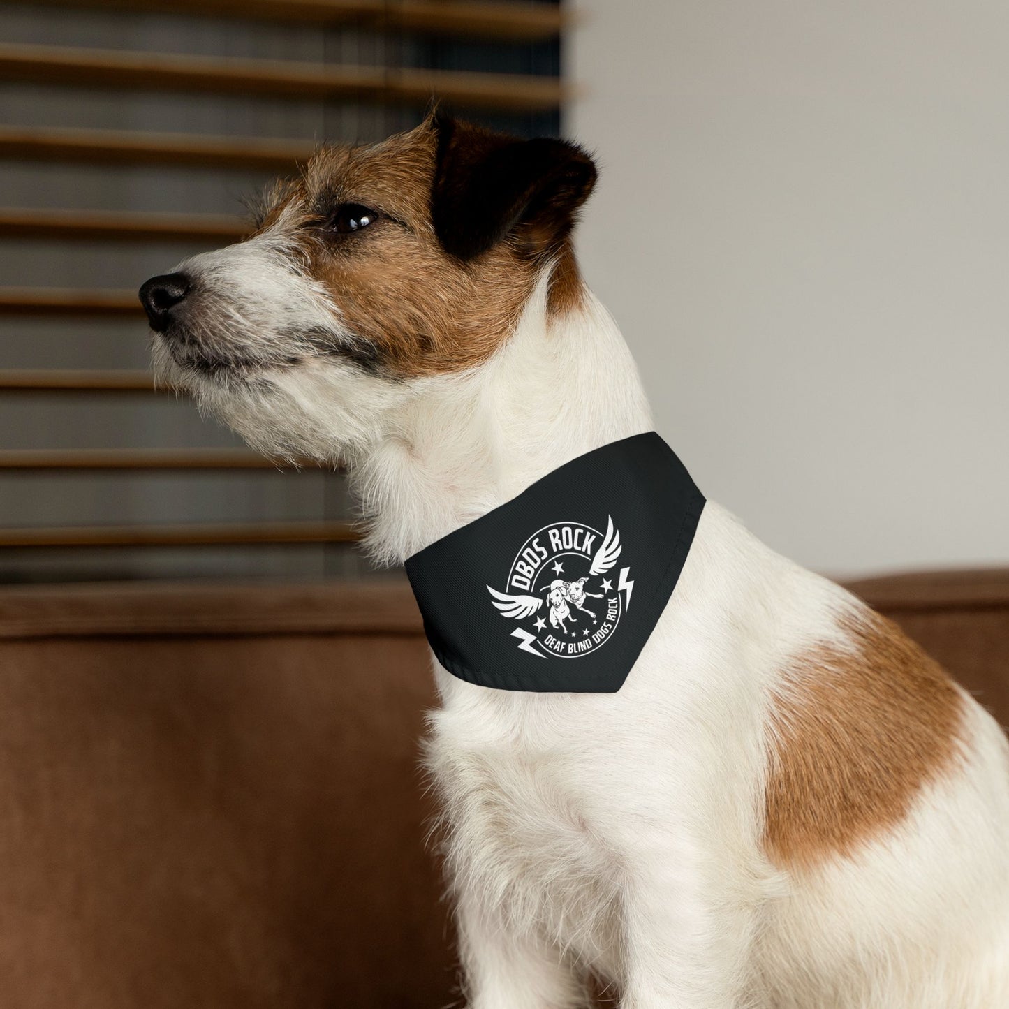 Black DBDR Pet Bandana Collar - for the DeafBlind dog in your life!