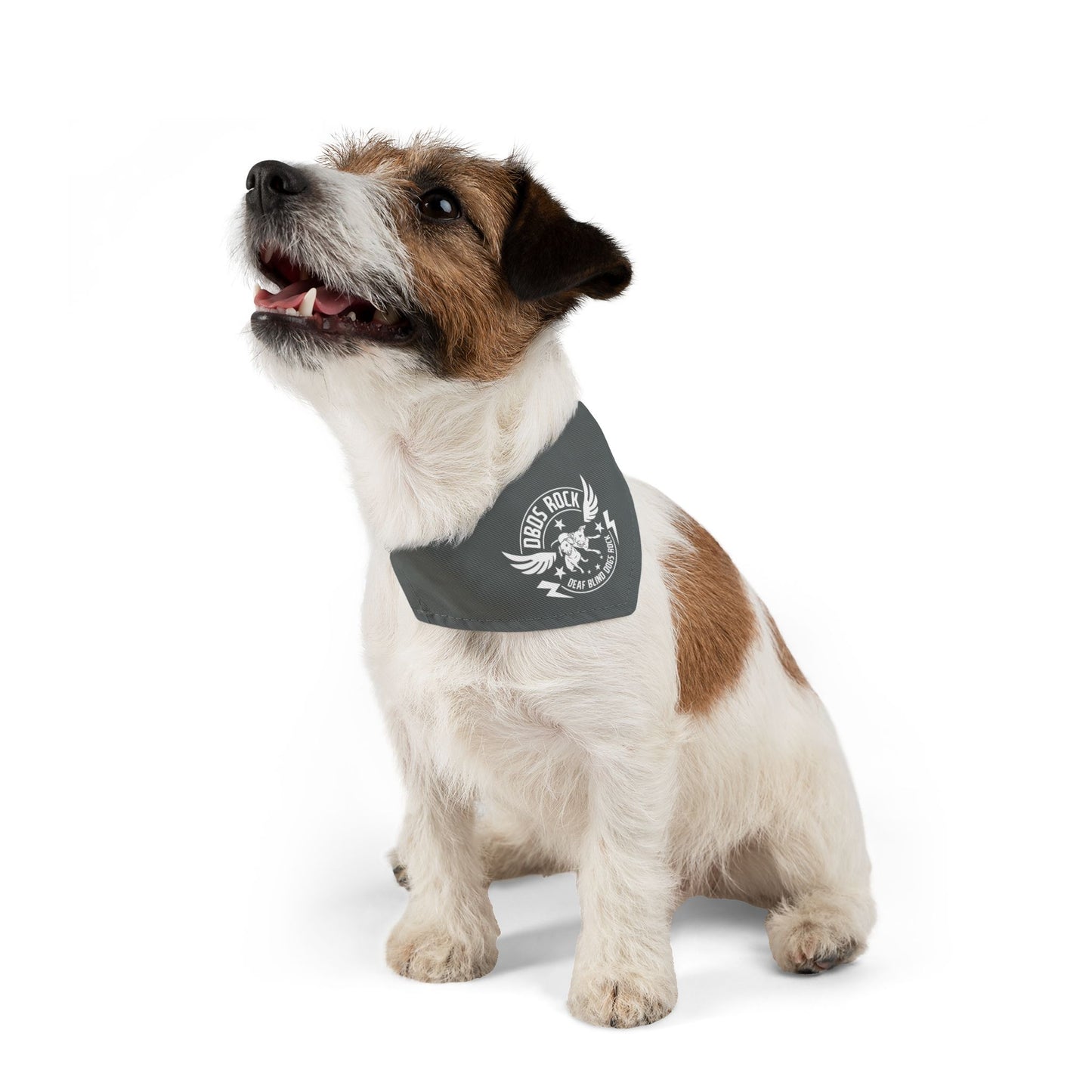 Gray DBDR Pet Bandana Collar - for the DeafBlind dog in your life!
