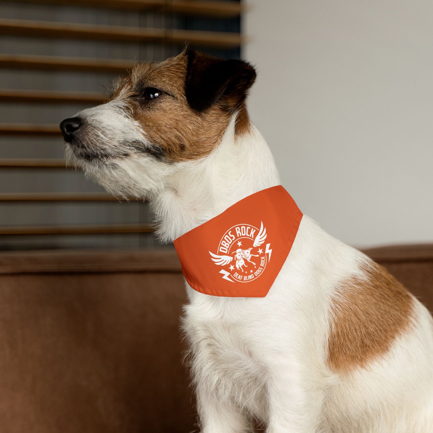 Orange Pet Bandana Collar - for the DeafBlind dog in your life!