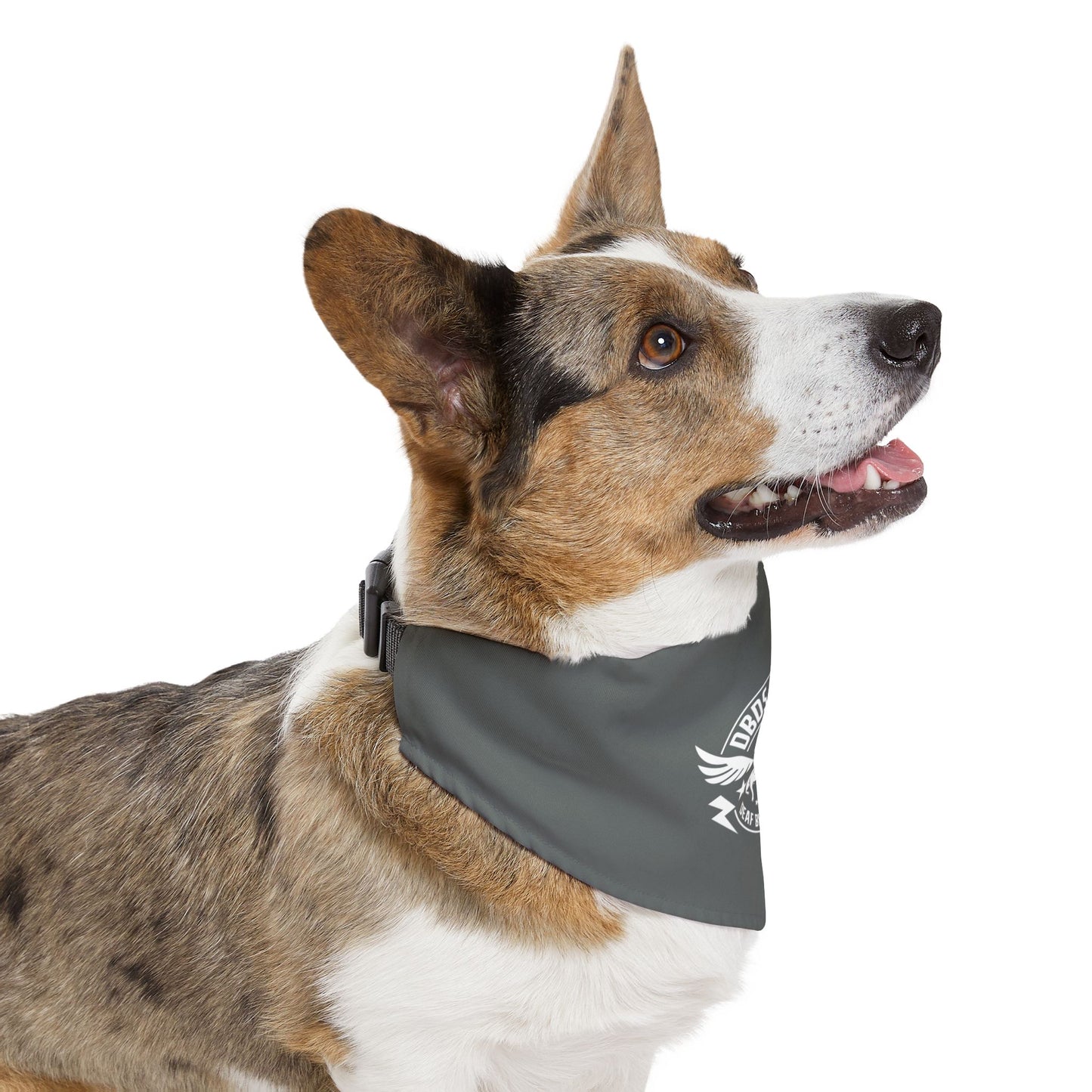 Gray DBDR Pet Bandana Collar - for the DeafBlind dog in your life!