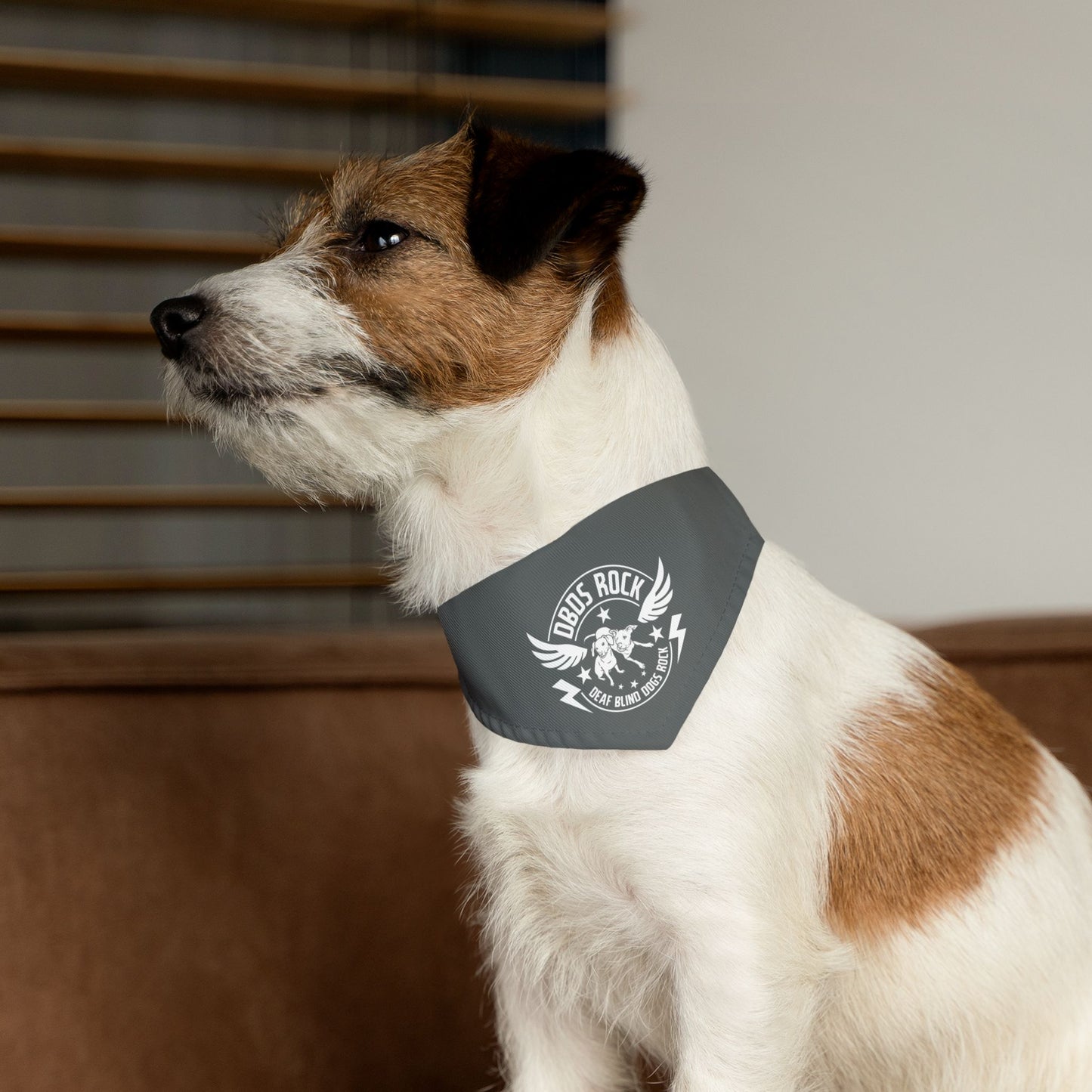 Gray DBDR Pet Bandana Collar - for the DeafBlind dog in your life!