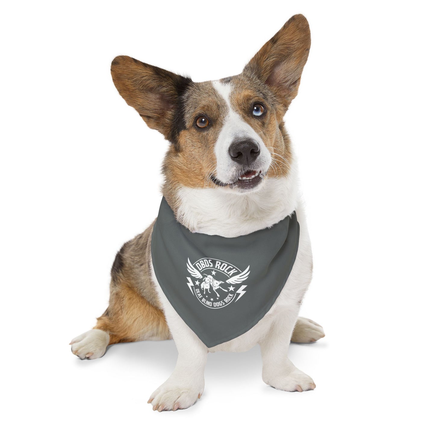 Gray DBDR Pet Bandana Collar - for the DeafBlind dog in your life!