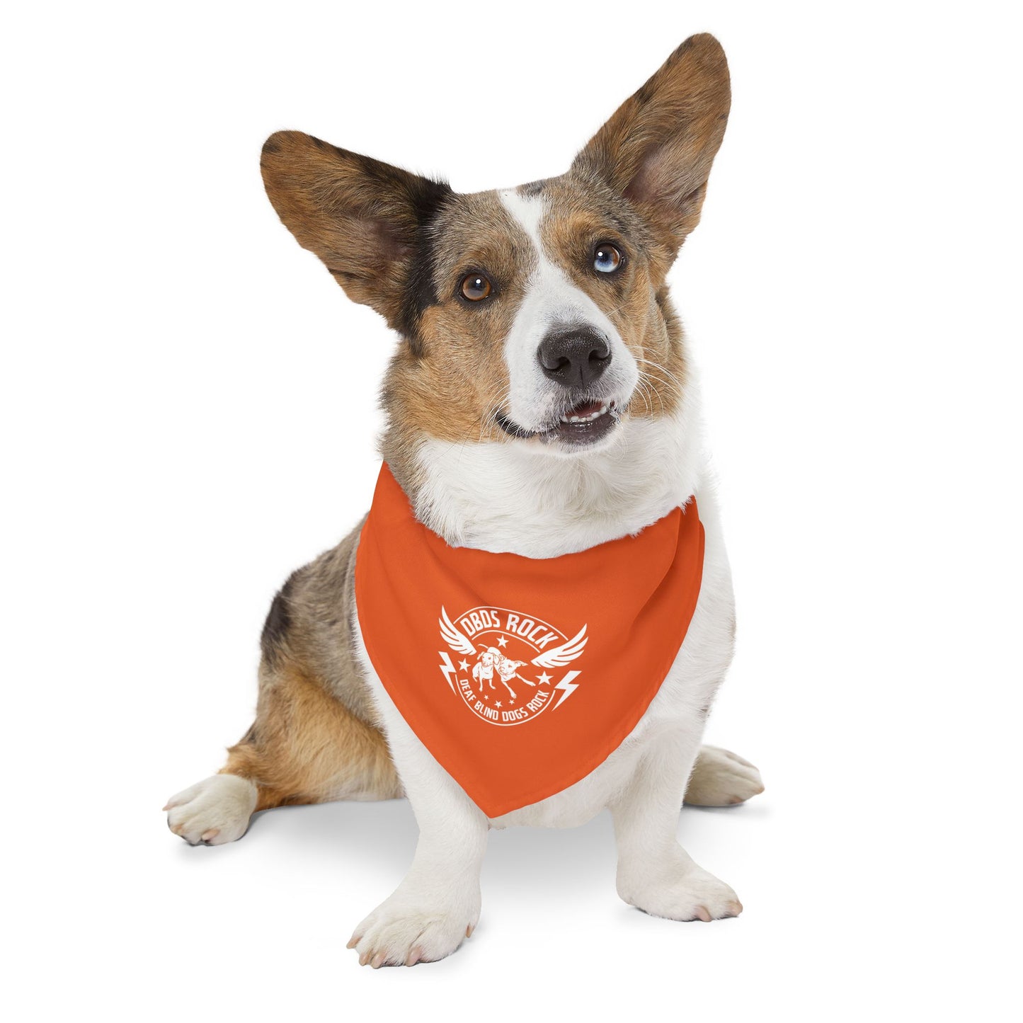 Orange Pet Bandana Collar - for the DeafBlind dog in your life!