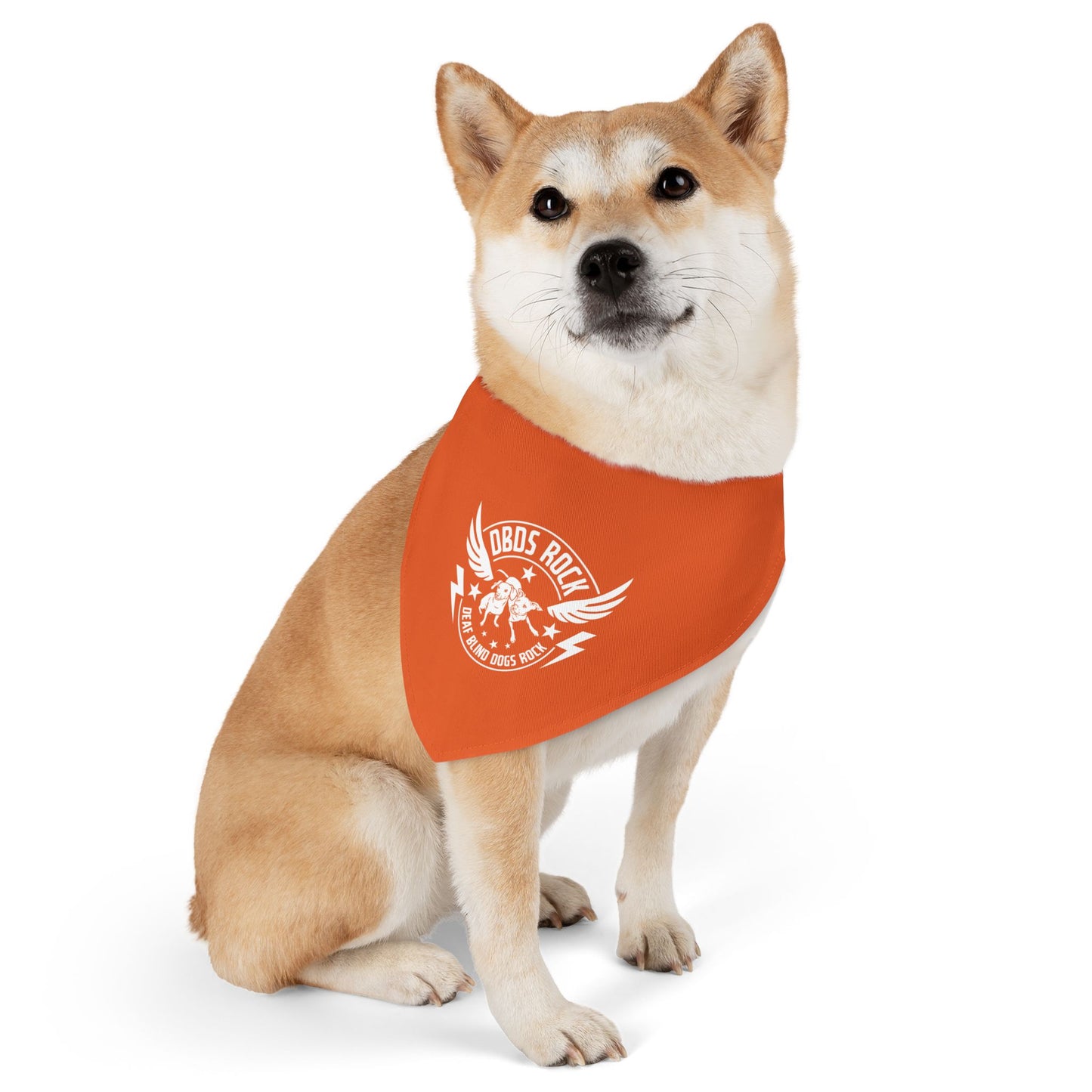 Orange Pet Bandana Collar - for the DeafBlind dog in your life!