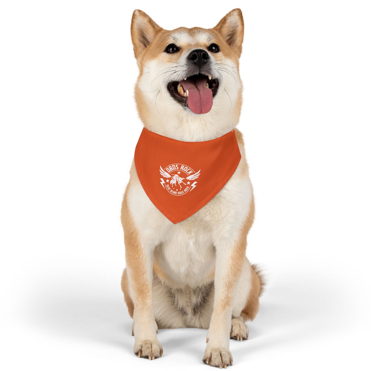 Orange Pet Bandana Collar - for the DeafBlind dog in your life!