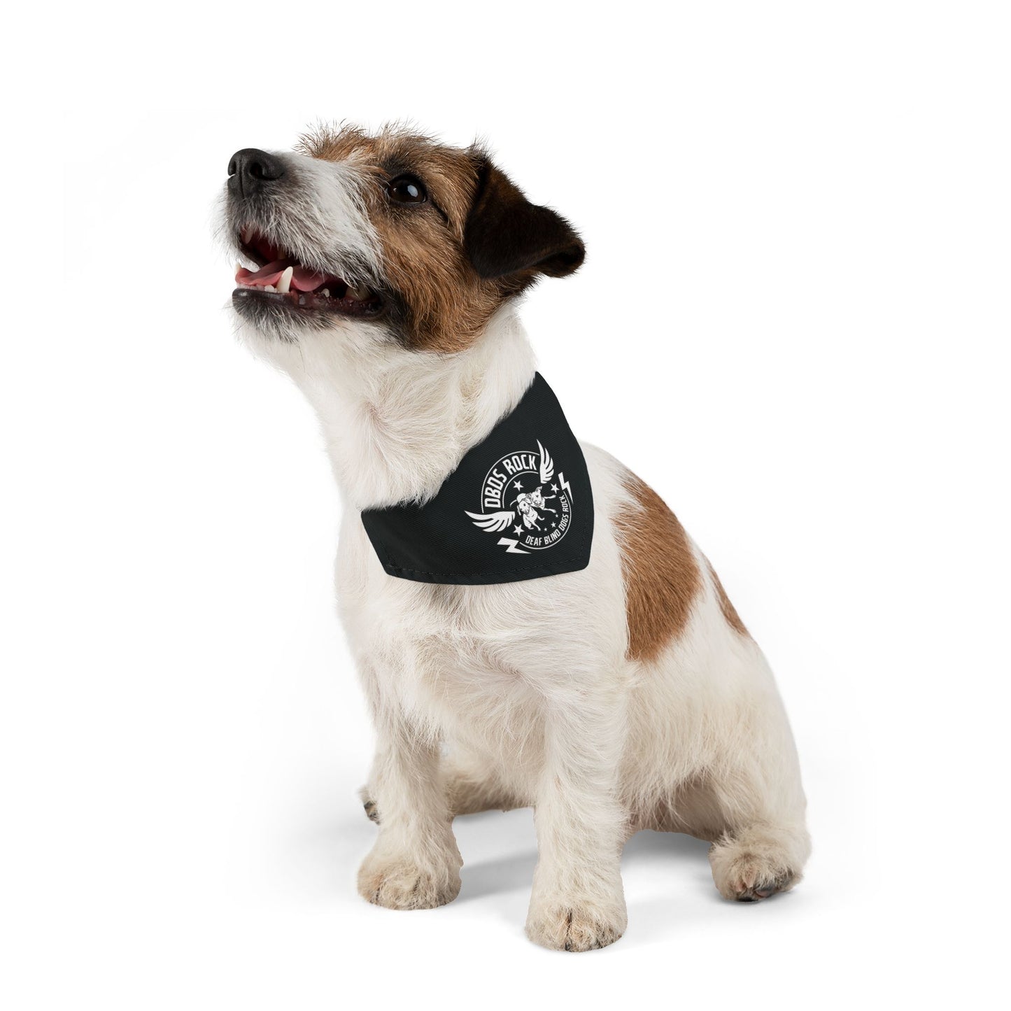 Black DBDR Pet Bandana Collar - for the DeafBlind dog in your life!