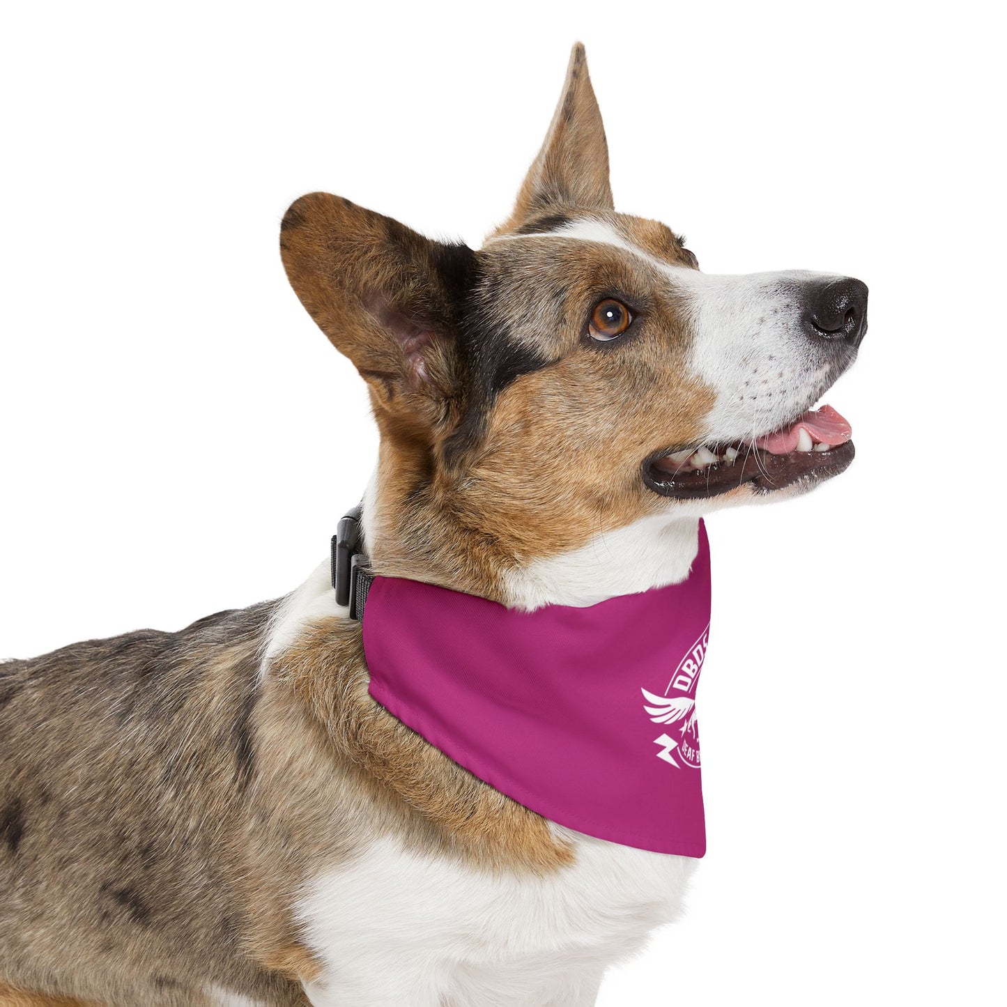DBDR Pink Pet Bandana Collar - for the DeafBlind dog in your life!