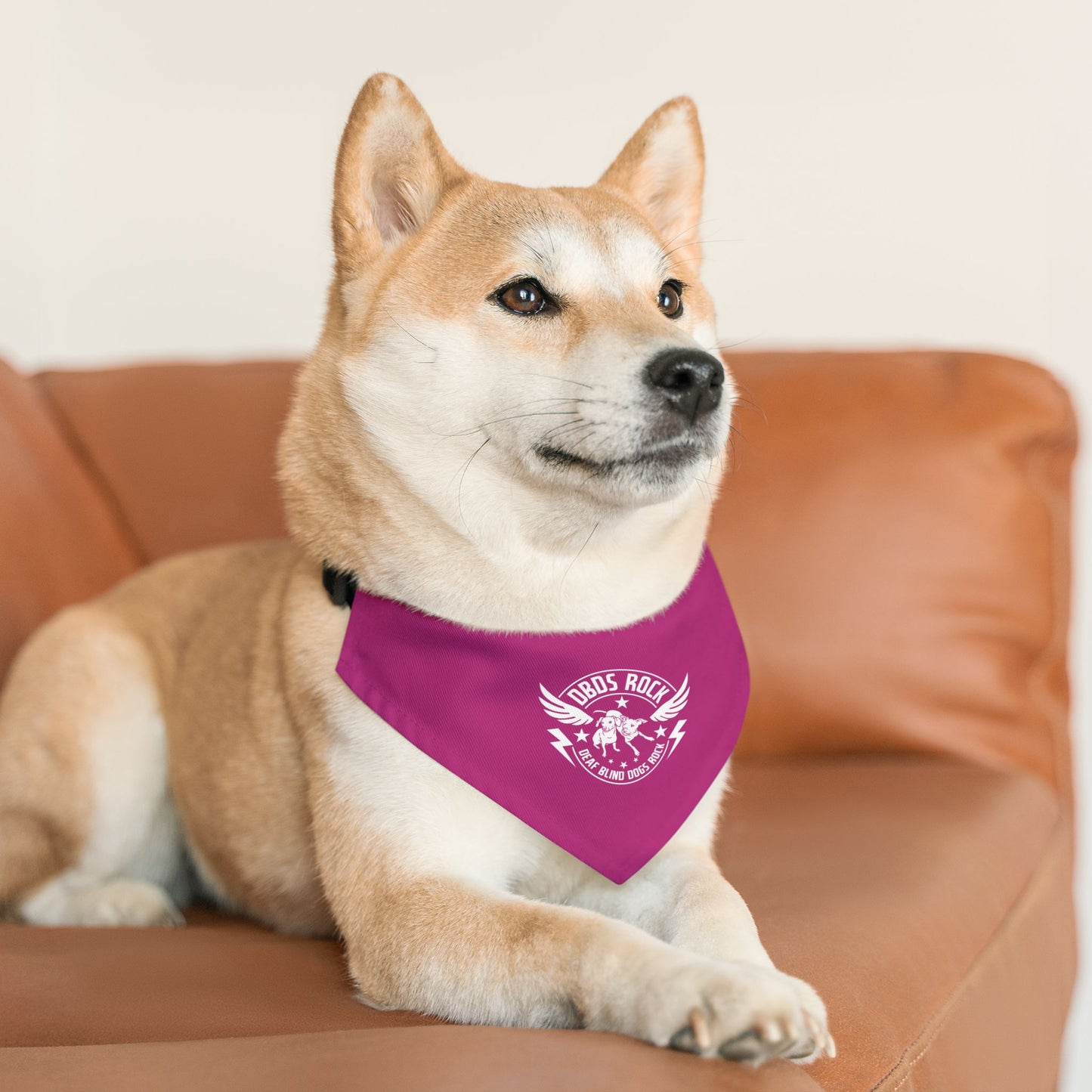 DBDR Pink Pet Bandana Collar - for the DeafBlind dog in your life!