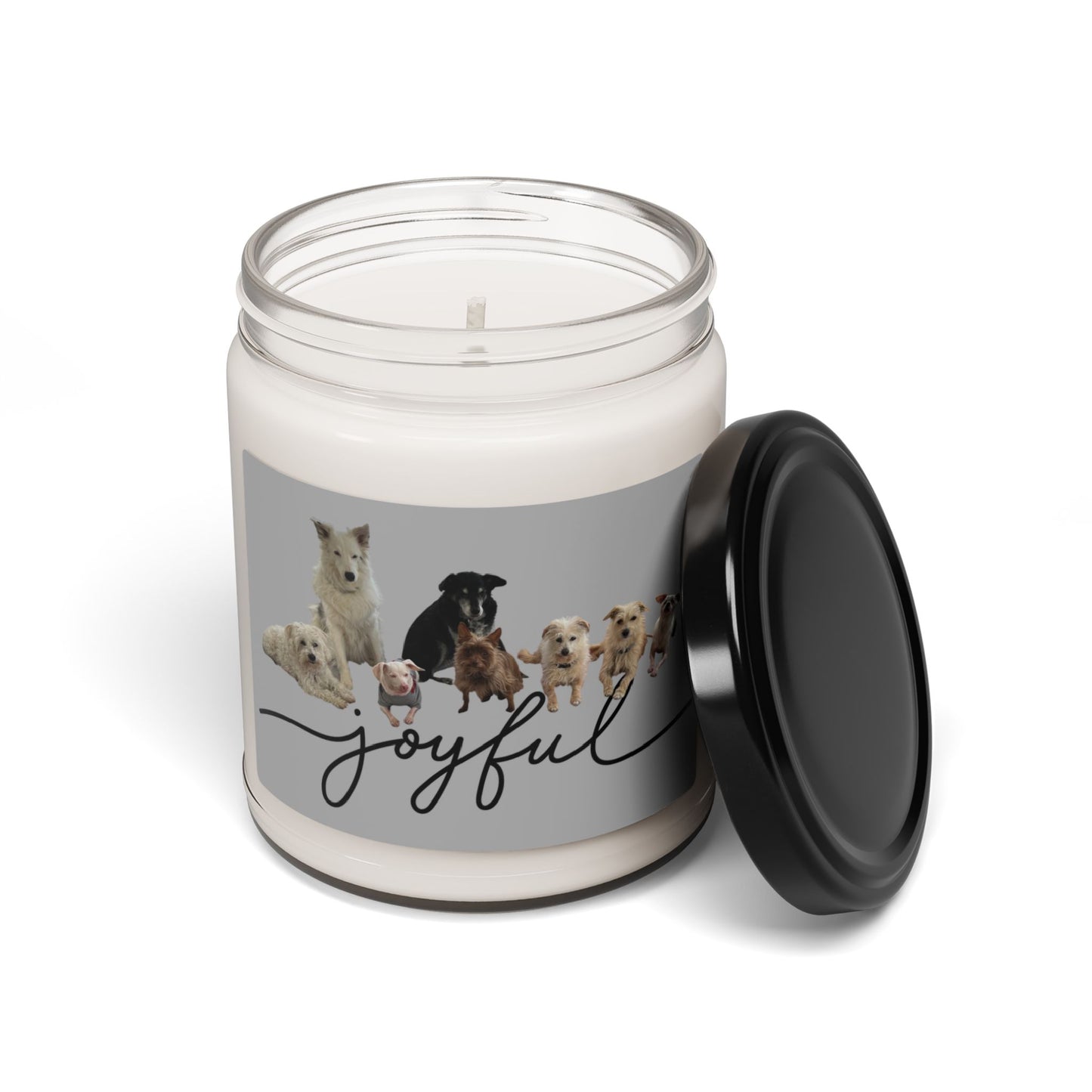 Piglet and his pack Joyful Scented Soy Candle, 9oz