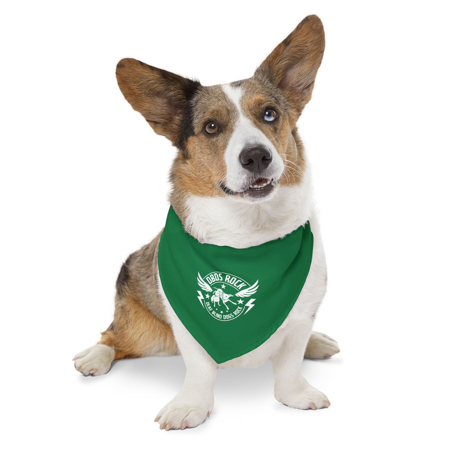 Green DBDR (Deaf Blind Dogs Rock) Bandana Collar - Stylish Dog Accessory for Celebrations, Holidays & Everyday Wear