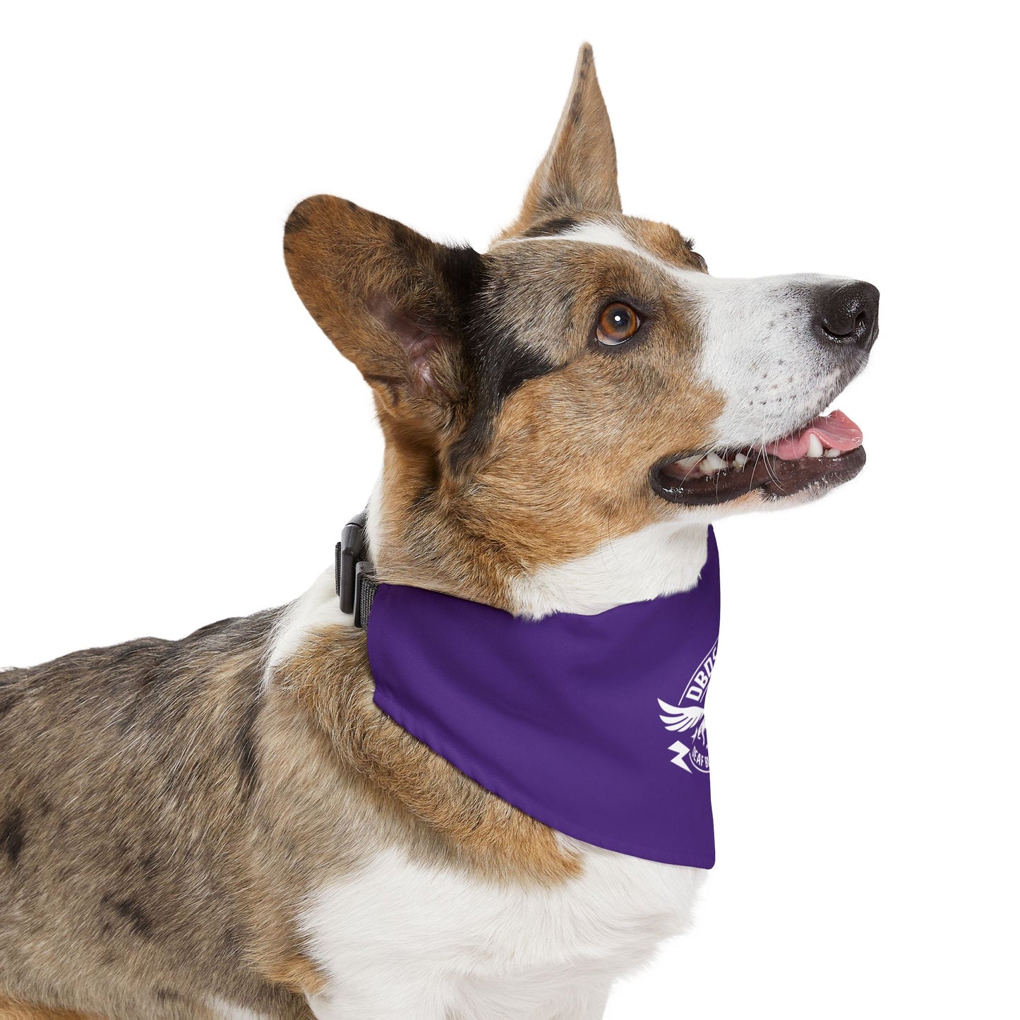 Purple DBDR (Deaf Blind Dogs Rock) Bandana Collar - Stylish Dog Accessory for Celebrations, Holidays & Everyday Wear