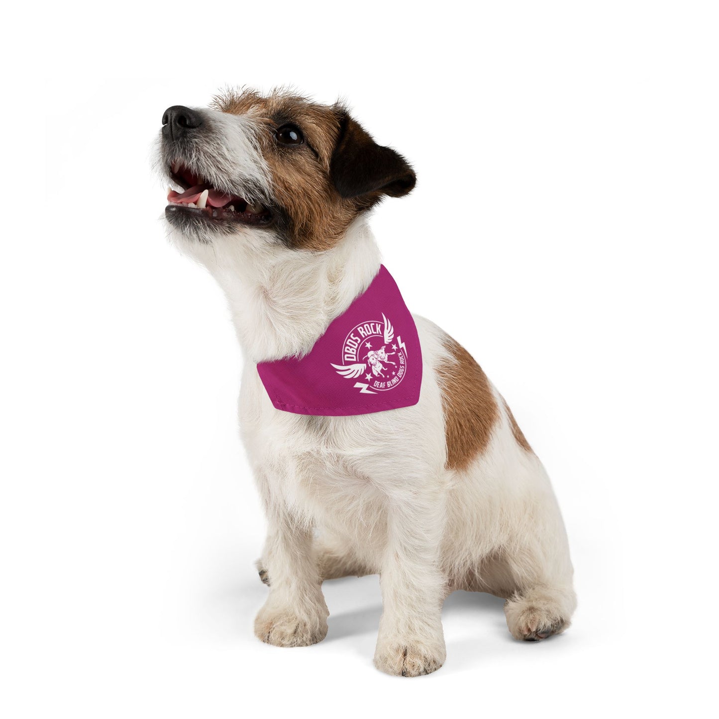 DBDR Pink Pet Bandana Collar - for the DeafBlind dog in your life!