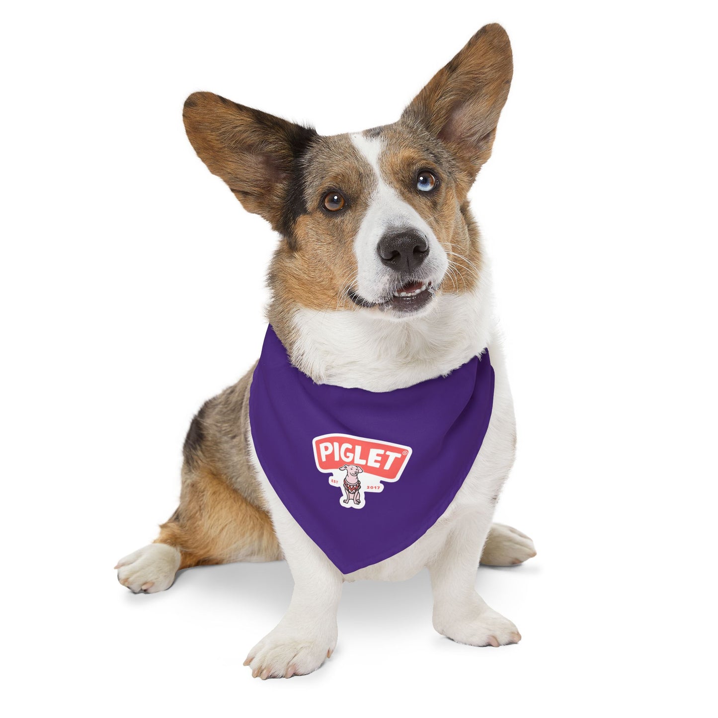 Piglet Bandana Collar - Stylish Dog Accessory for Celebrations, Holidays & Everyday Wear