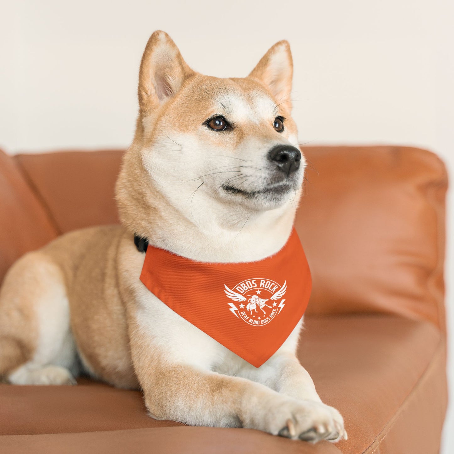 Orange Pet Bandana Collar - for the DeafBlind dog in your life!