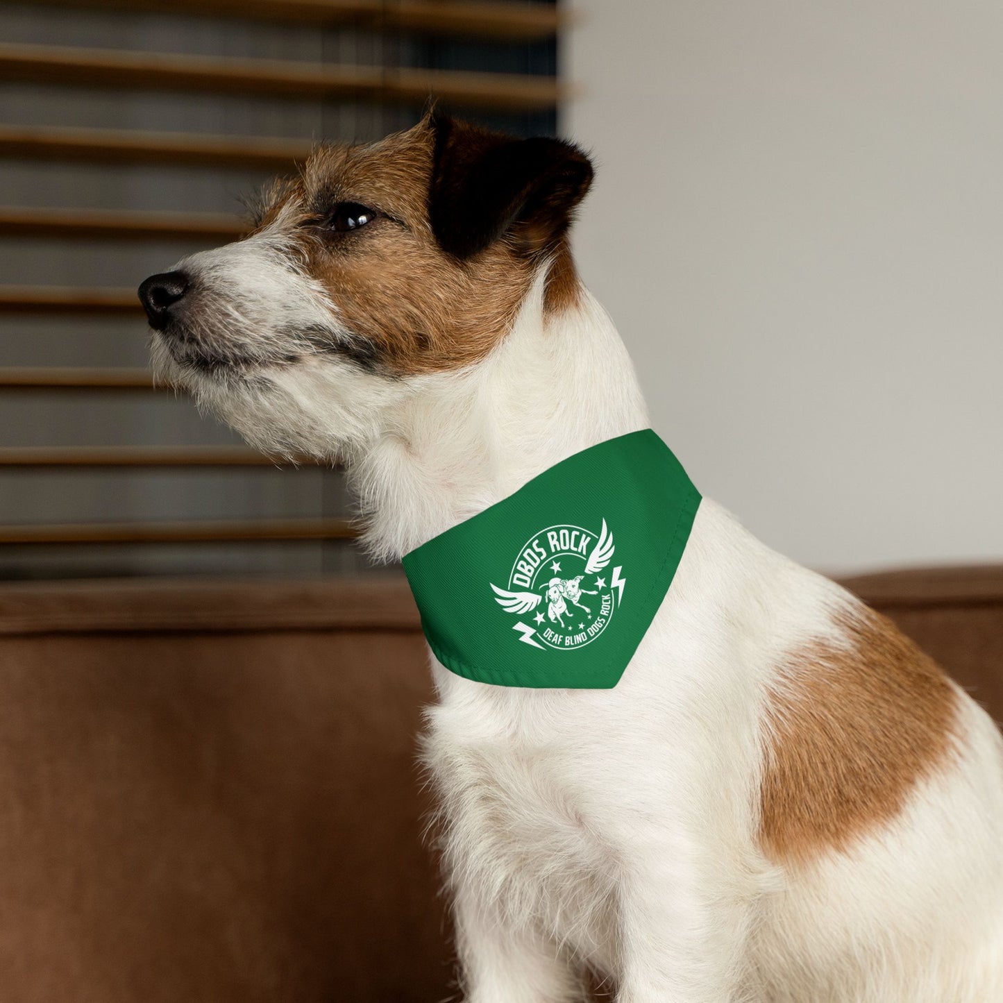 Green DBDR (Deaf Blind Dogs Rock) Bandana Collar - Stylish Dog Accessory for Celebrations, Holidays & Everyday Wear