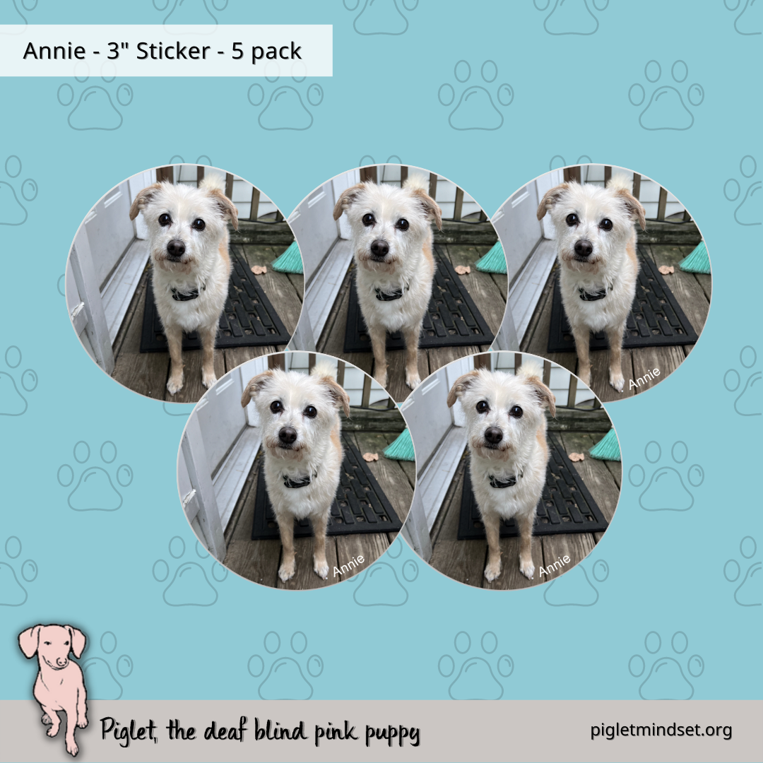 Annie 3 inch sticker 5 pack