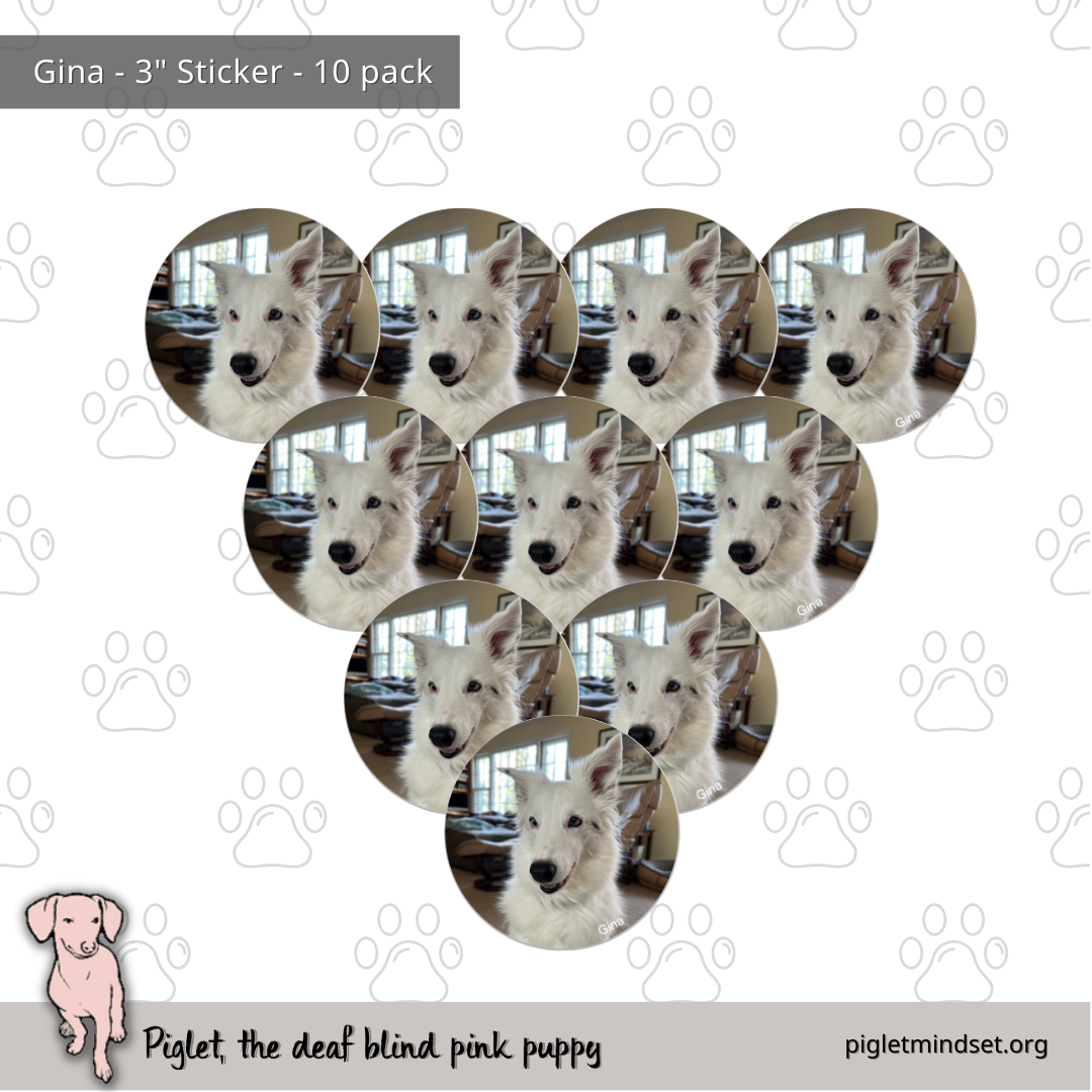 Gina 3 inch sticker 10 pack