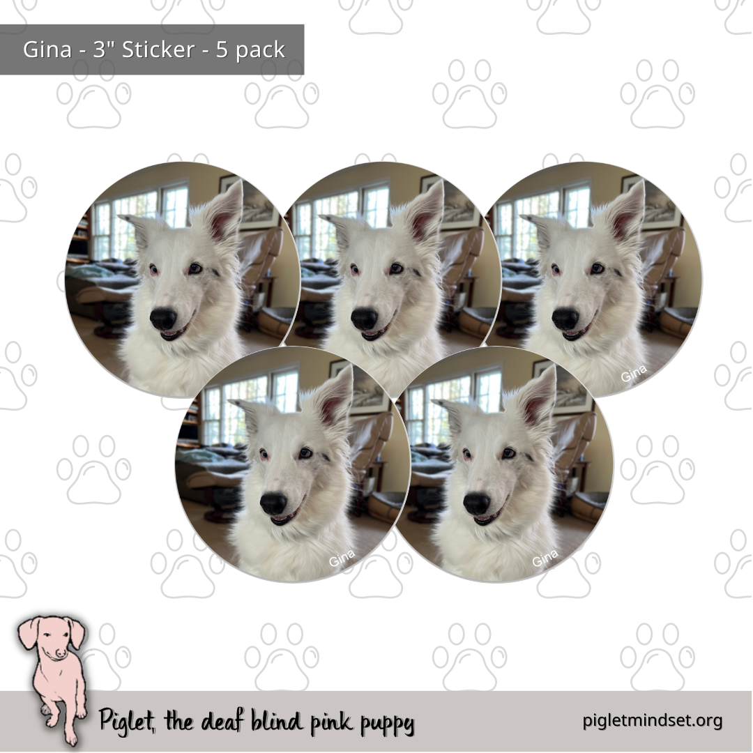 Gina 3 inch sticker 5 pack