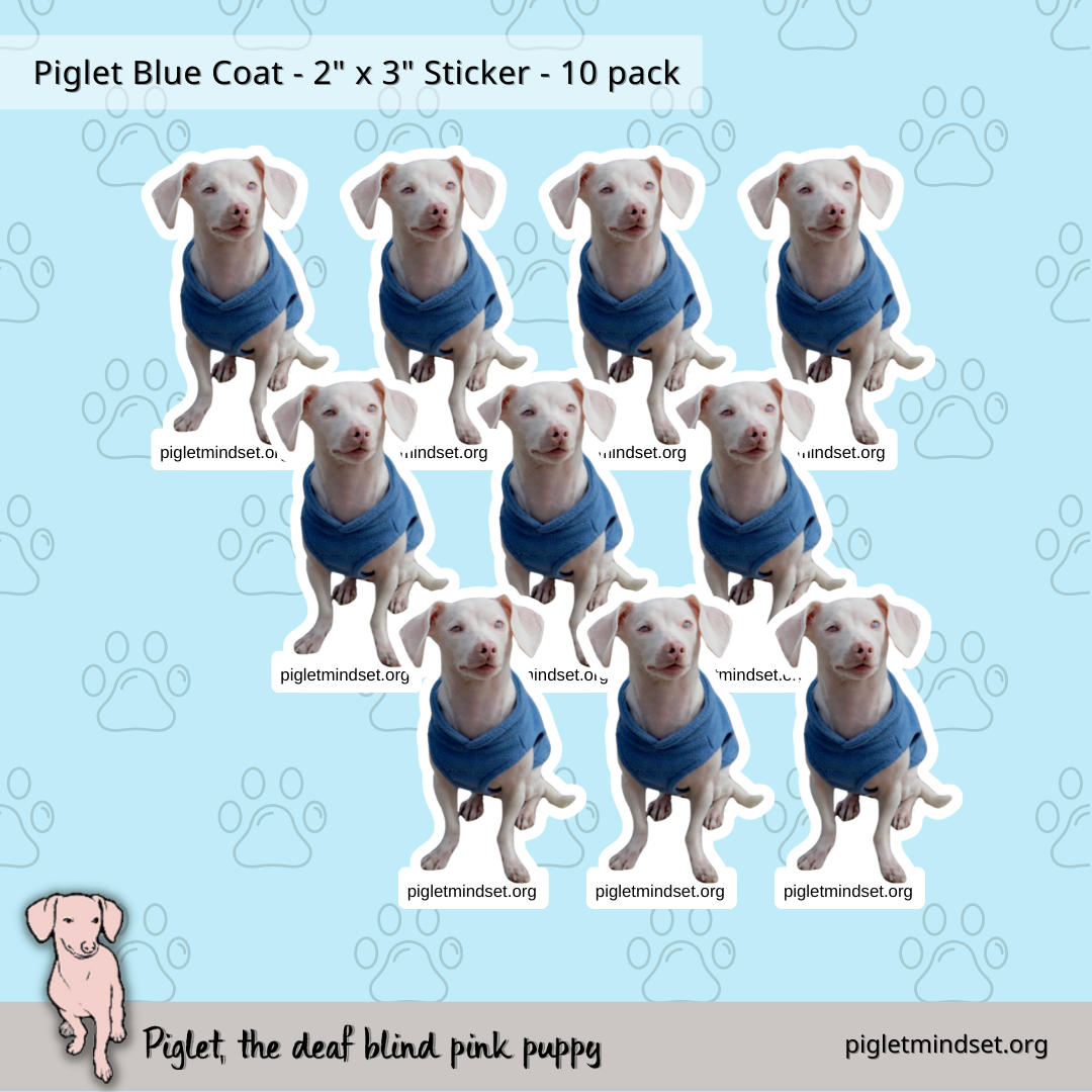 Piglet Blue Coat - 2" x 3" Sticker