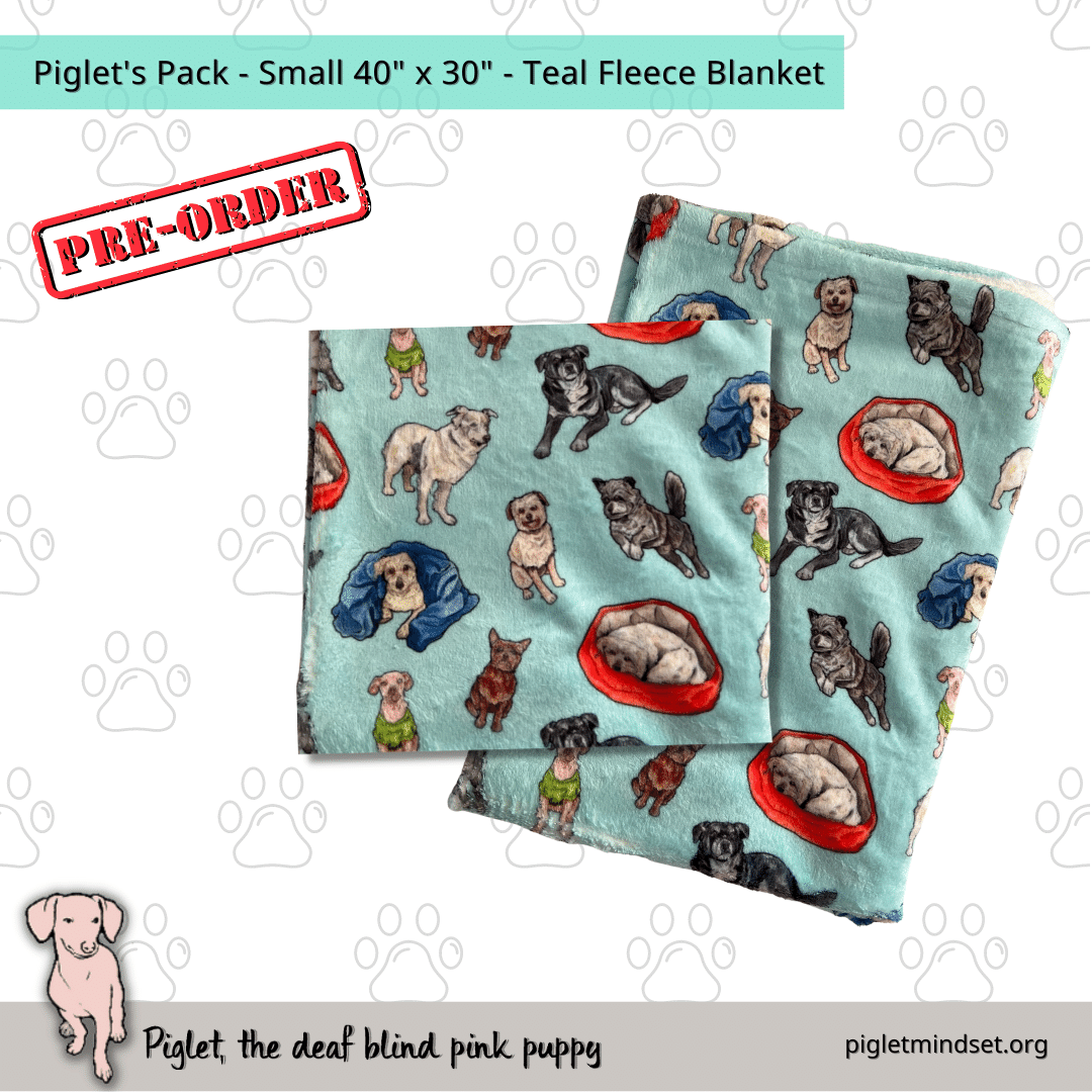 Piglet's Inclusion Pack - Fleece Blankets - 15 Variations!