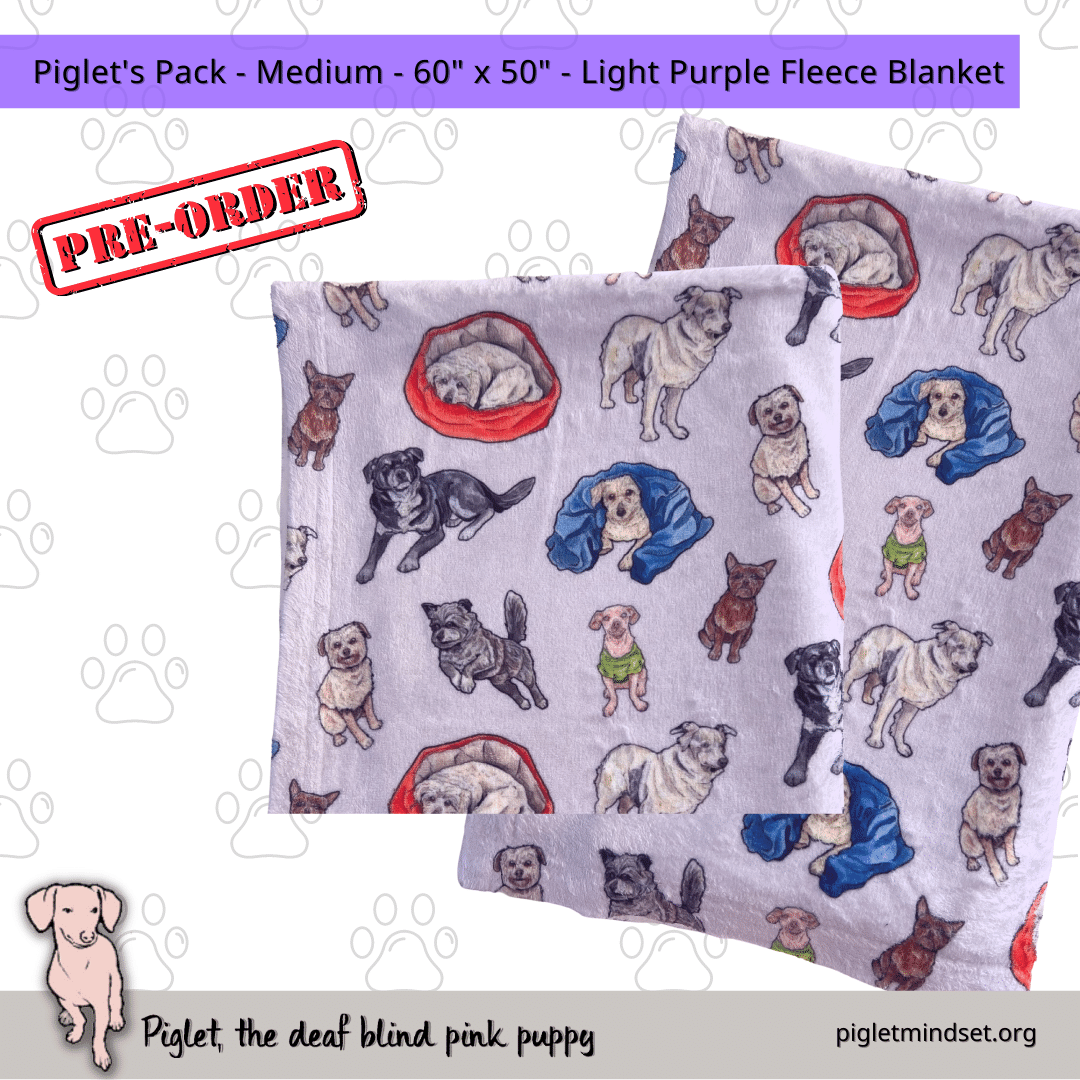 Piglet's Inclusion Pack - Fleece Blankets - 15 Variations!
