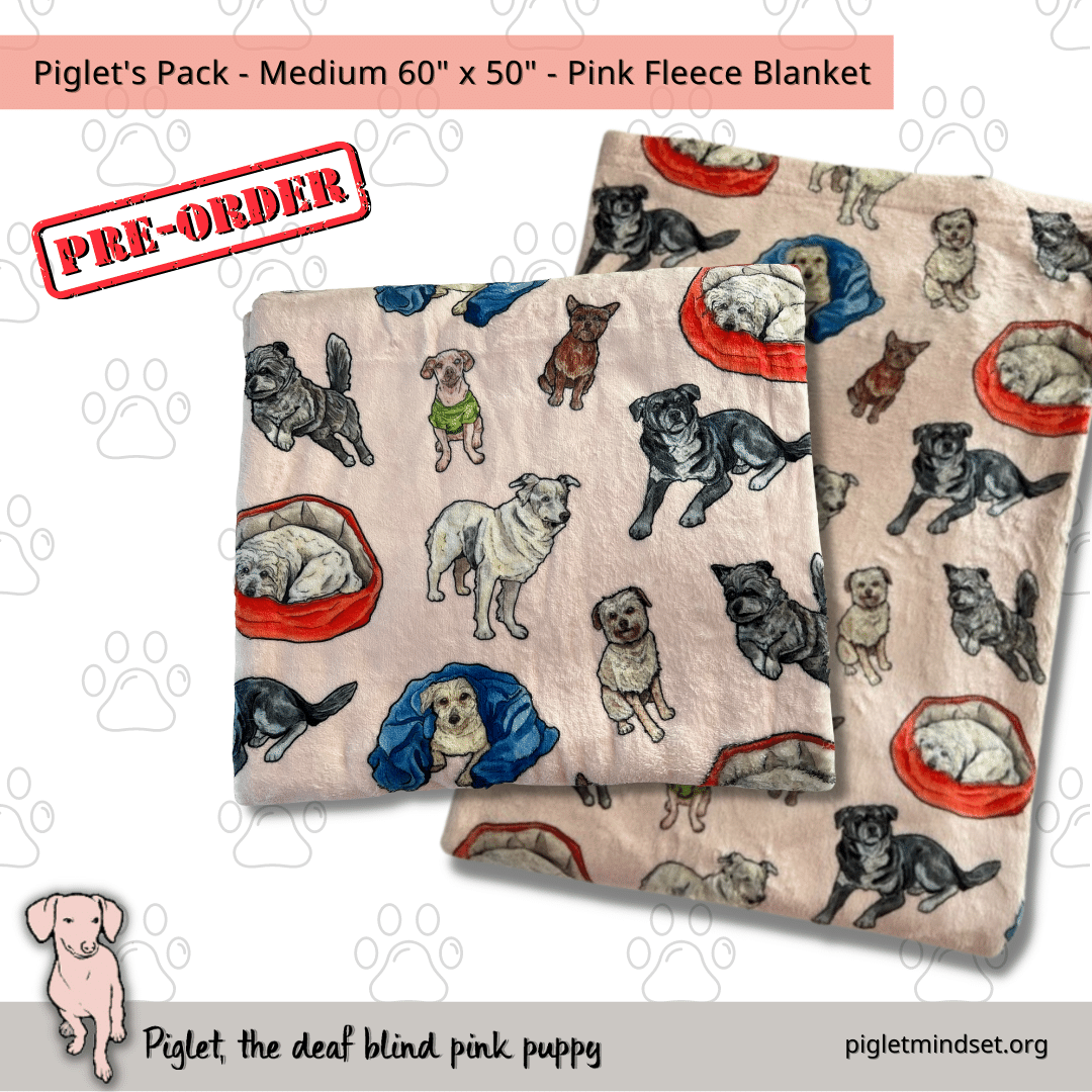 Piglet's Inclusion Pack - Fleece Blankets - 15 Variations!