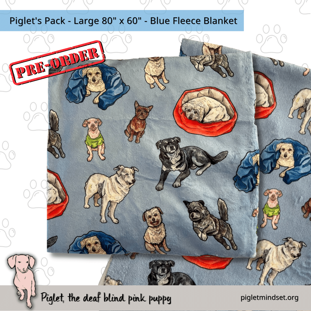 Piglet's Inclusion Pack - Fleece Blankets - 15 Variations!