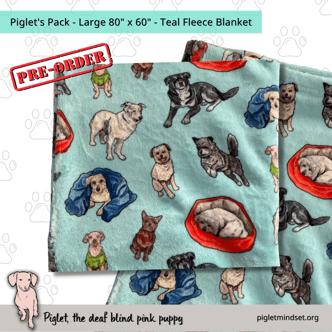 Piglet's Inclusion Pack - Fleece Blankets - 15 Variations!