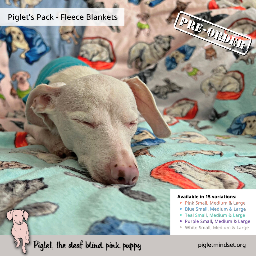 Piglet's Inclusion Pack - Fleece Blankets - 15 Variations!