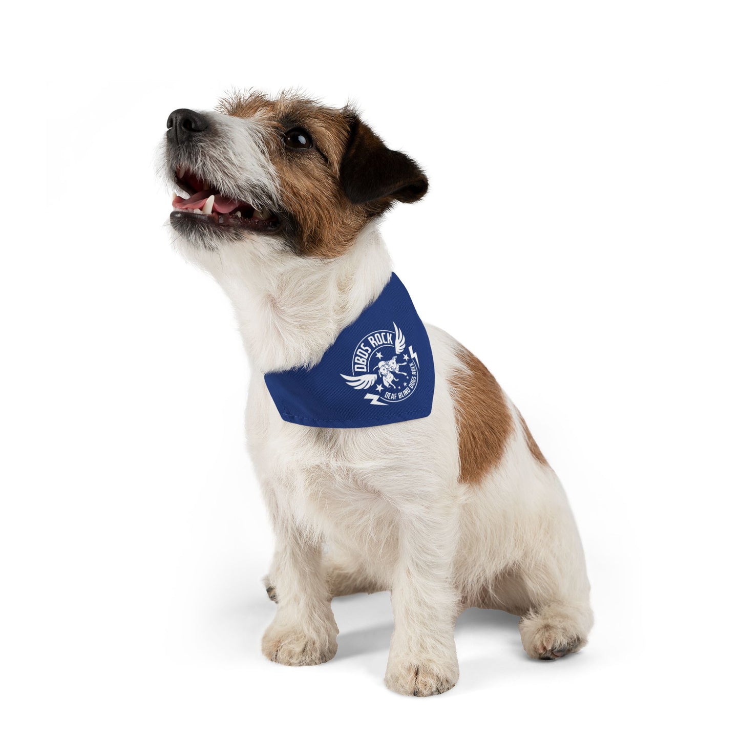 DBDR Blue Pet Bandana Collar - for the DeafBlind dog in your life!