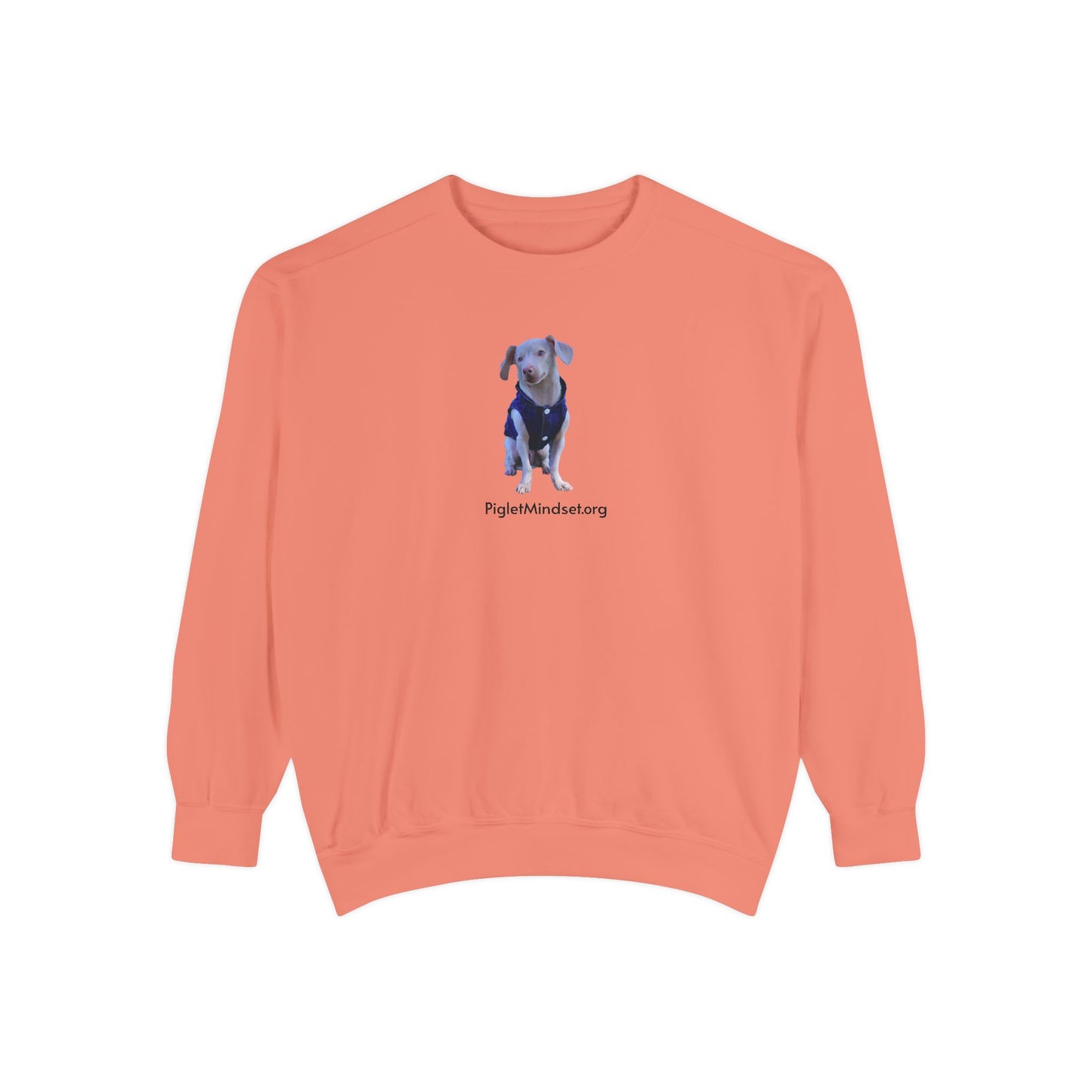 Unisex Garment-Dyed Sweatshirt