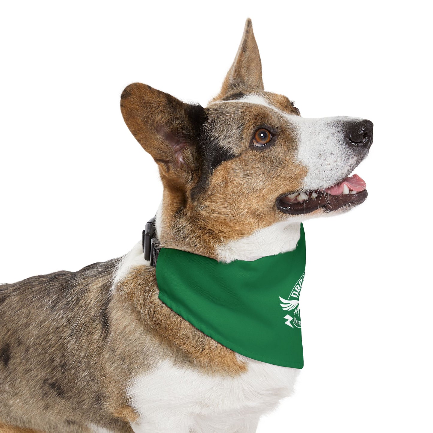 Green DBDR (Deaf Blind Dogs Rock) Bandana Collar - Stylish Dog Accessory for Celebrations, Holidays & Everyday Wear