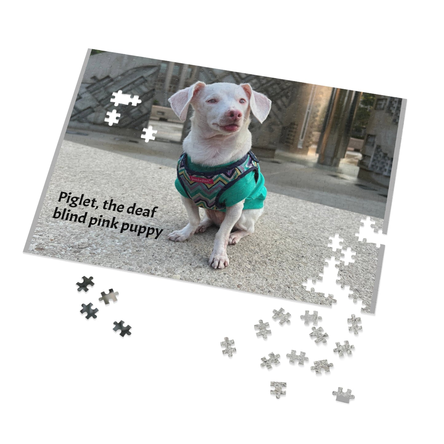 Piglet, the deaf blind pink puppy Jigsaw Puzzle with Tin