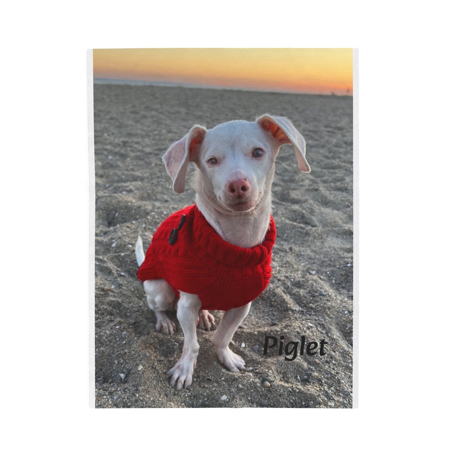 Piglet on the Beach Velveteen Plush Blanket