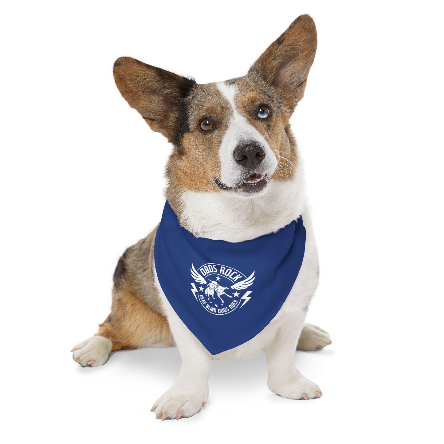 DBDR Blue Pet Bandana Collar - for the DeafBlind dog in your life!