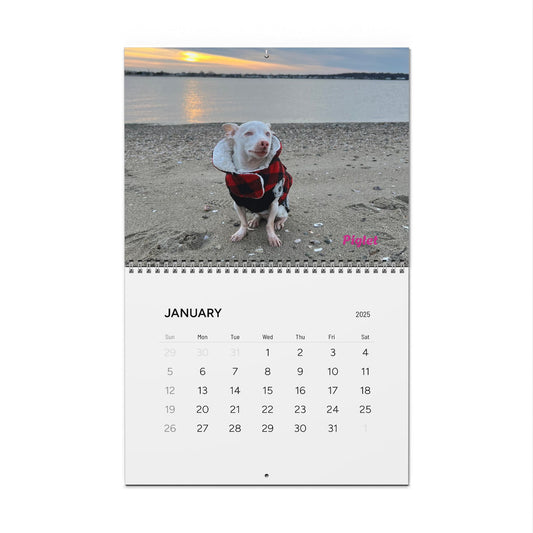 Piglet's Pack Portraits, Official 2025 Calendar of Piglet, the deaf blind pink puppy