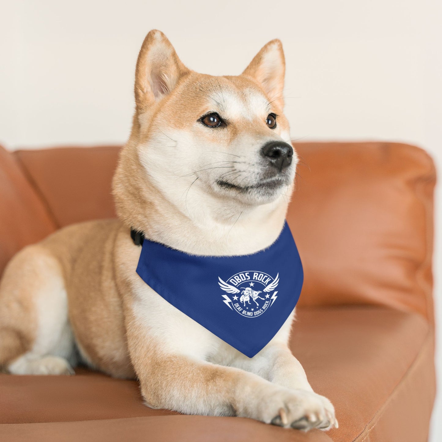 DBDR Blue Pet Bandana Collar - for the DeafBlind dog in your life!