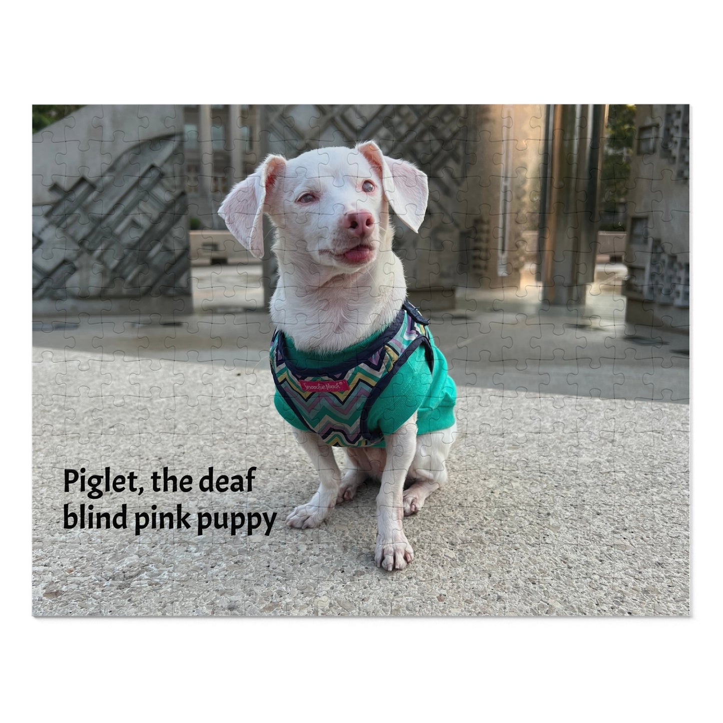 Piglet, the deaf blind pink puppy Jigsaw Puzzle with Tin