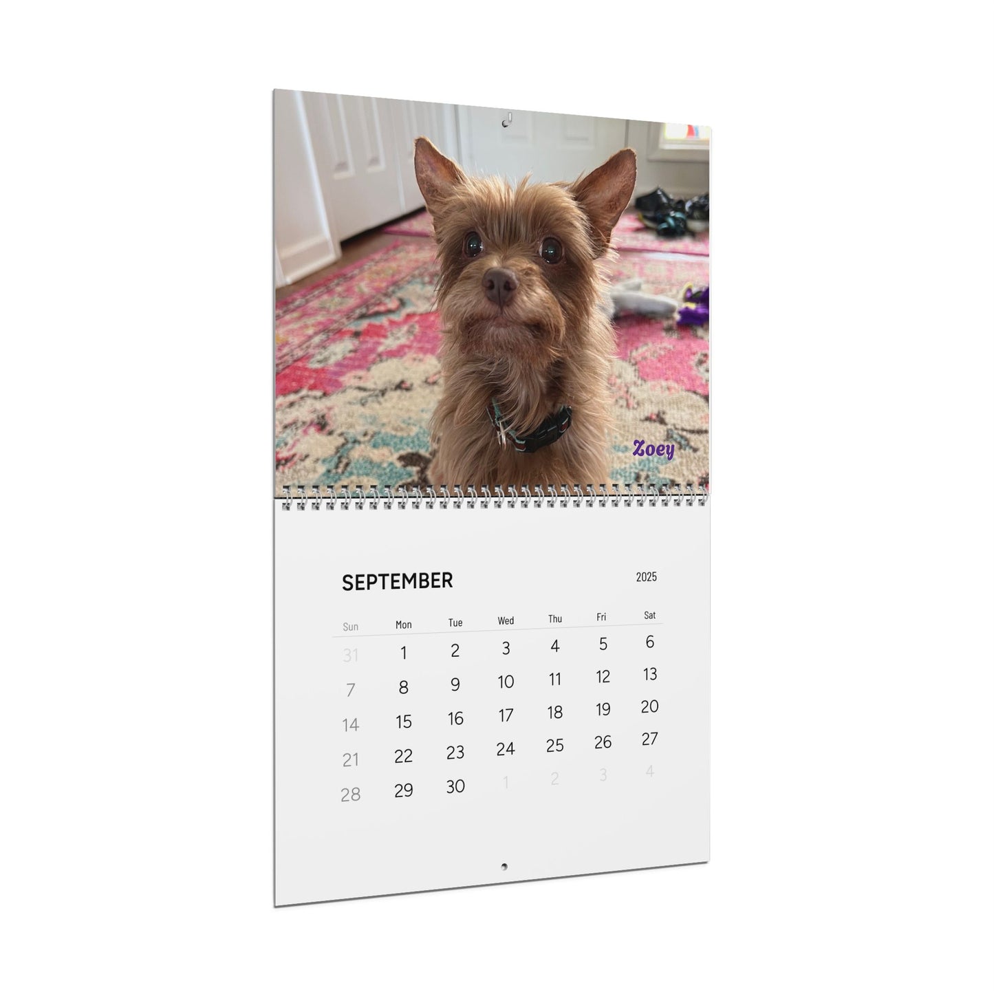 Piglet's Pack Portraits, Official 2025 Calendar of Piglet, the deaf blind pink puppy