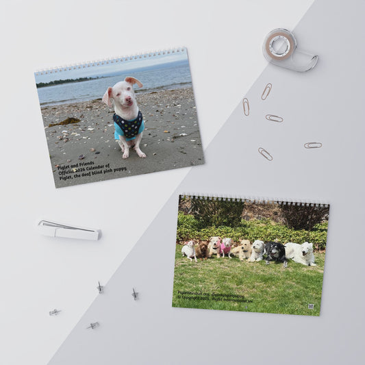 Piglet and Friends, Official 2026 Calendar of Piglet, the deaf blind pink puppy